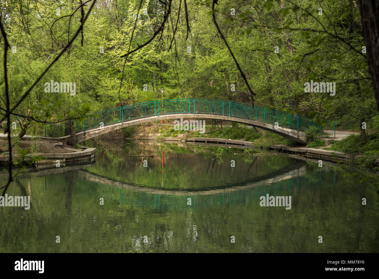 A round bridge reflexion landscape Stock Photo