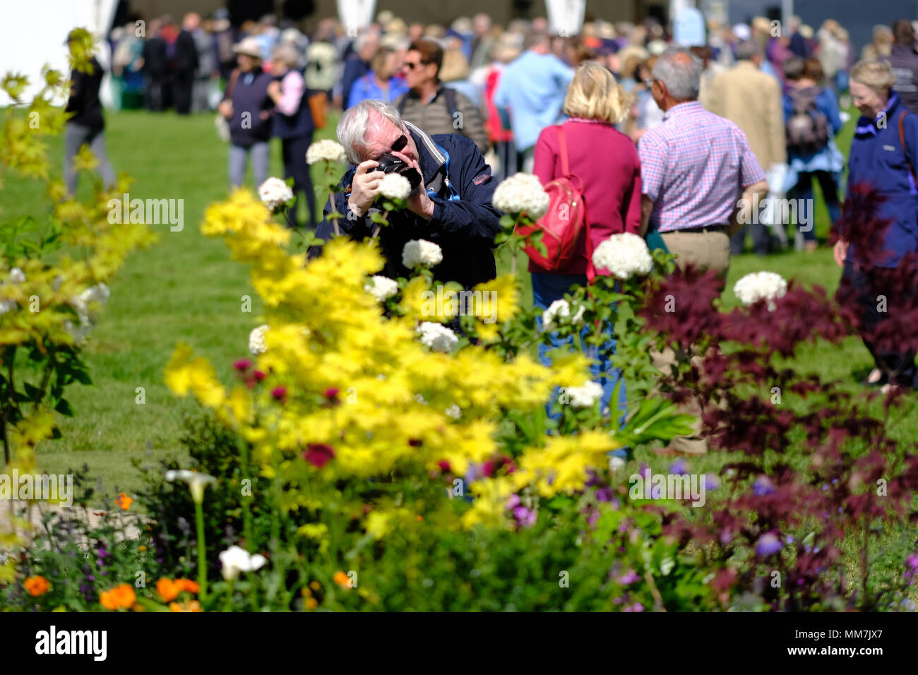 Malvern flower show visitor hires stock photography and images Alamy