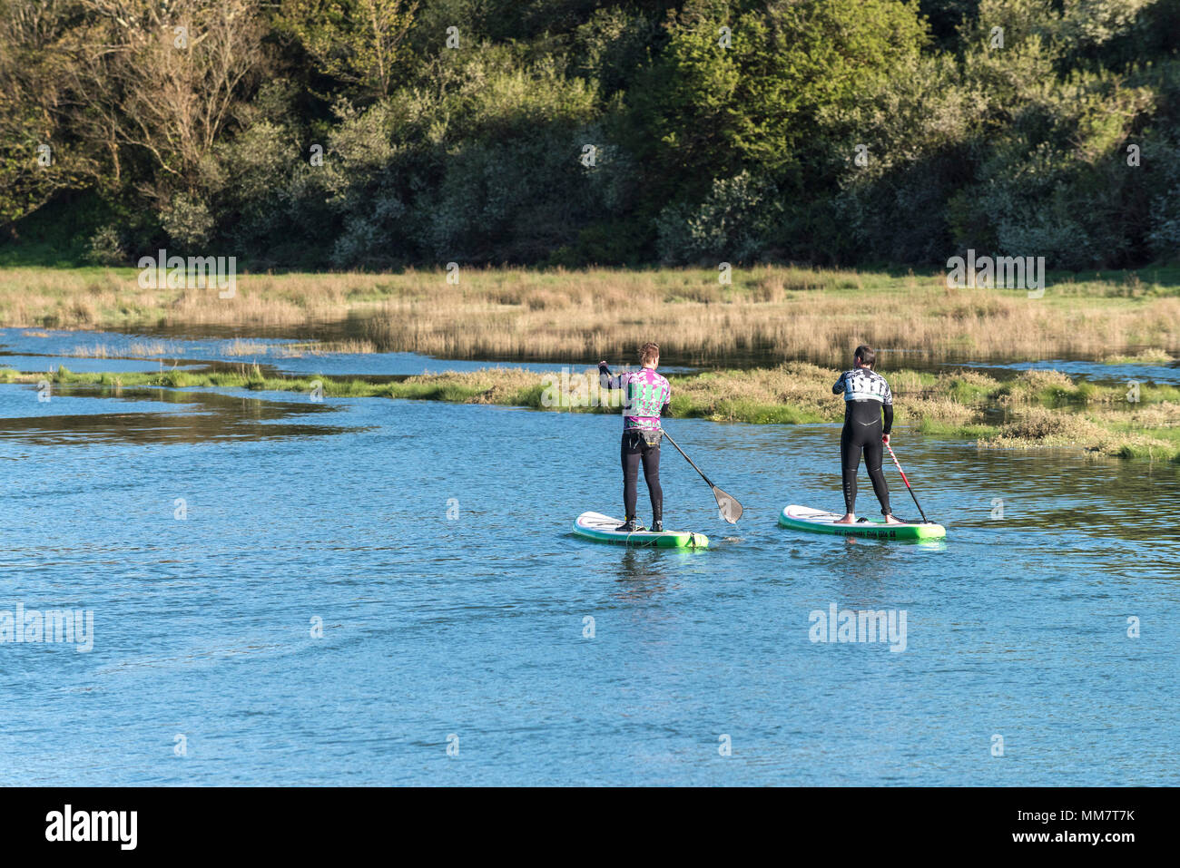 Stand up paddleboarders on the Gannel River in Newquay Cornwall. Stock Photo