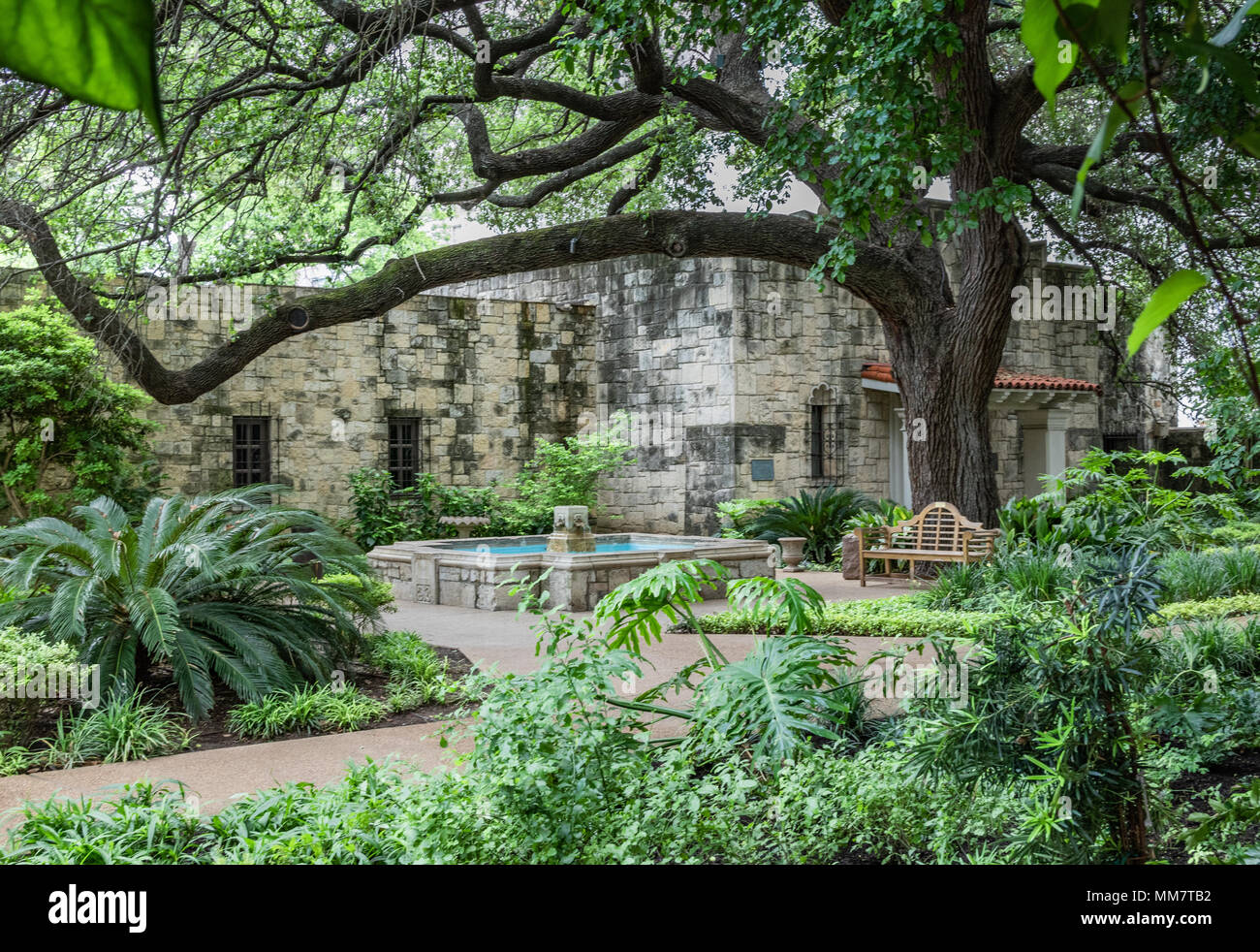 THE ALAMO, SAN ANTONIO, TX, USAMAY 23 The courtyard of the Alamo is