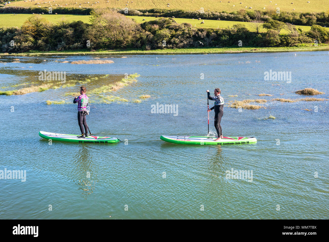 Stand Up Paddleboarders on the Gannel River in Newquay Cornwall. Stock Photo