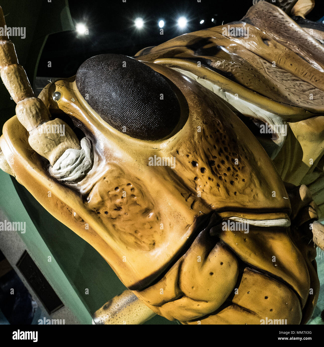Giant sculpture at the Boston Museum of Science Stock Photo