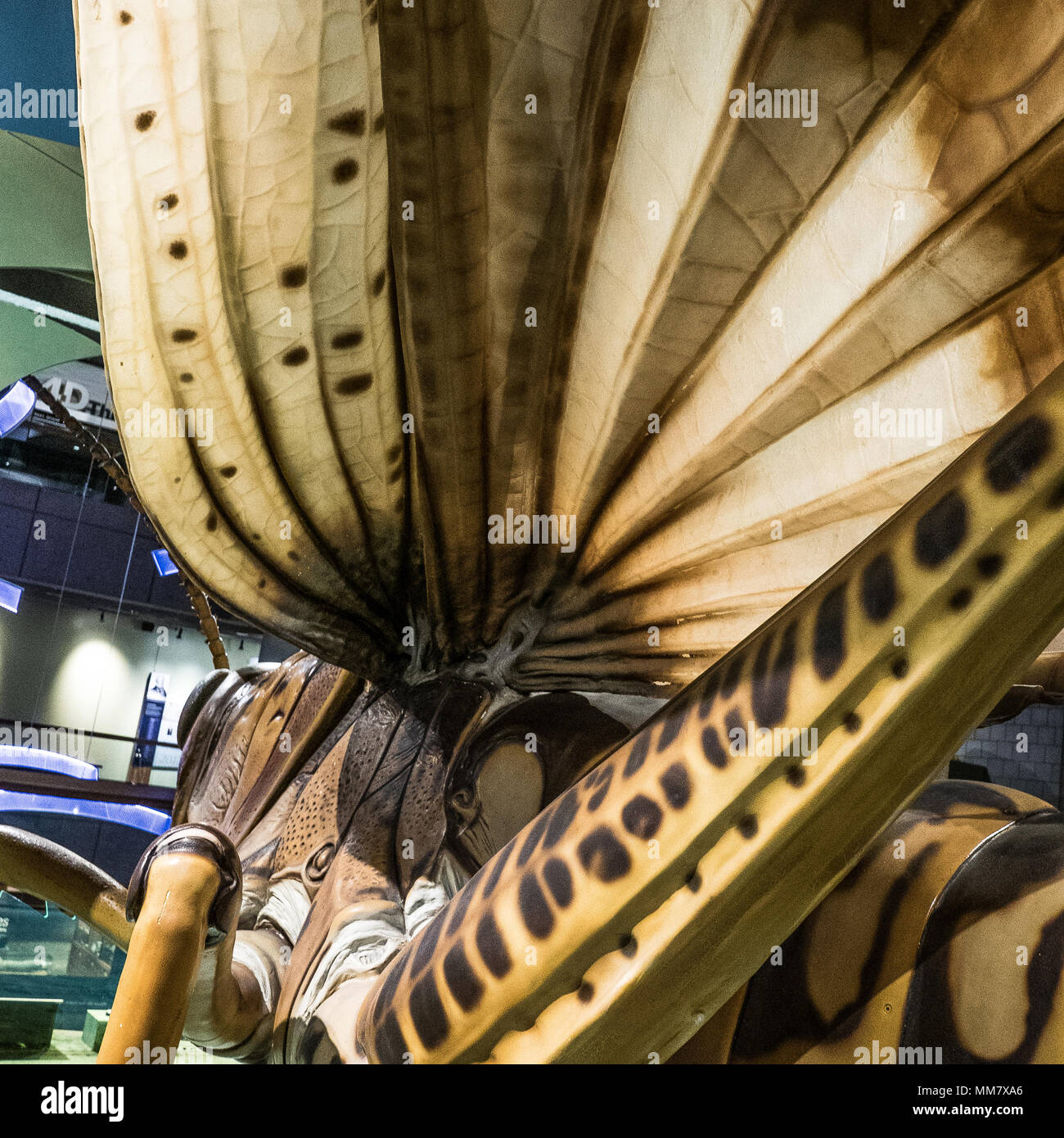 Giant sculpture at the Boston Museum of Science Stock Photo