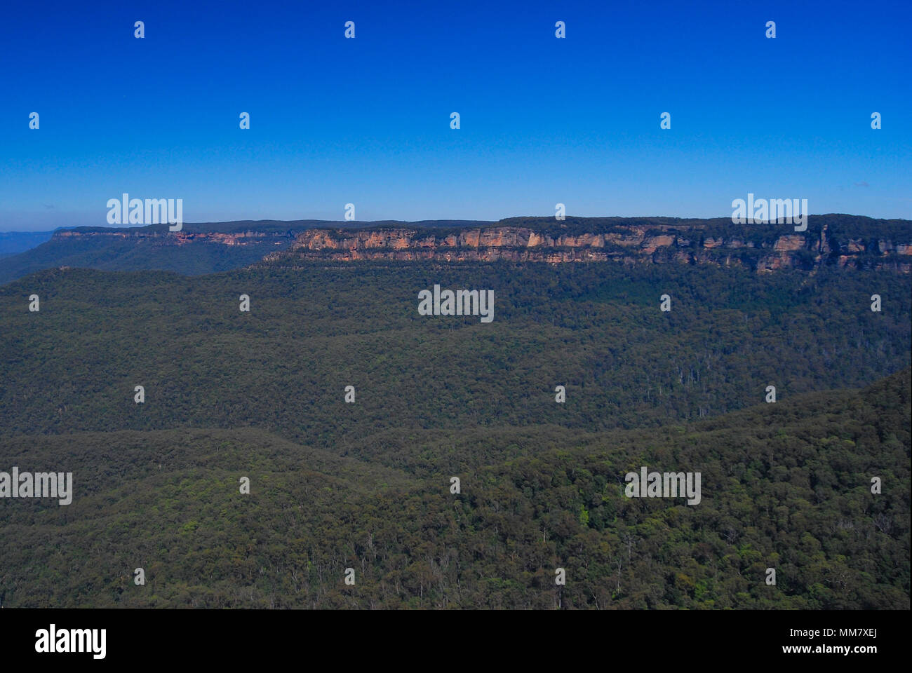 Blue Mountains scene Stock Photo Alamy