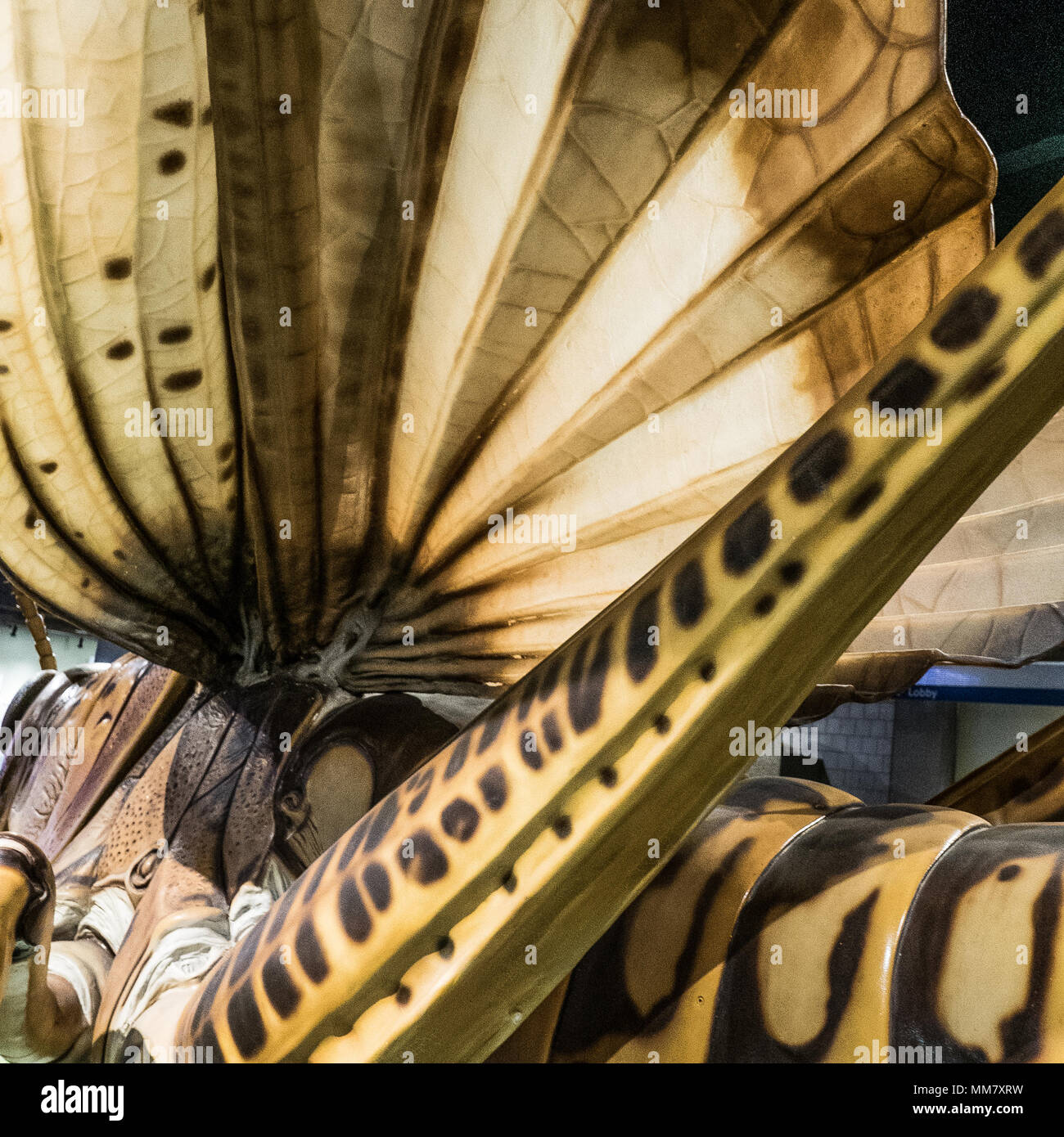 Giant sculpture at the Boston Museum of Science Stock Photo