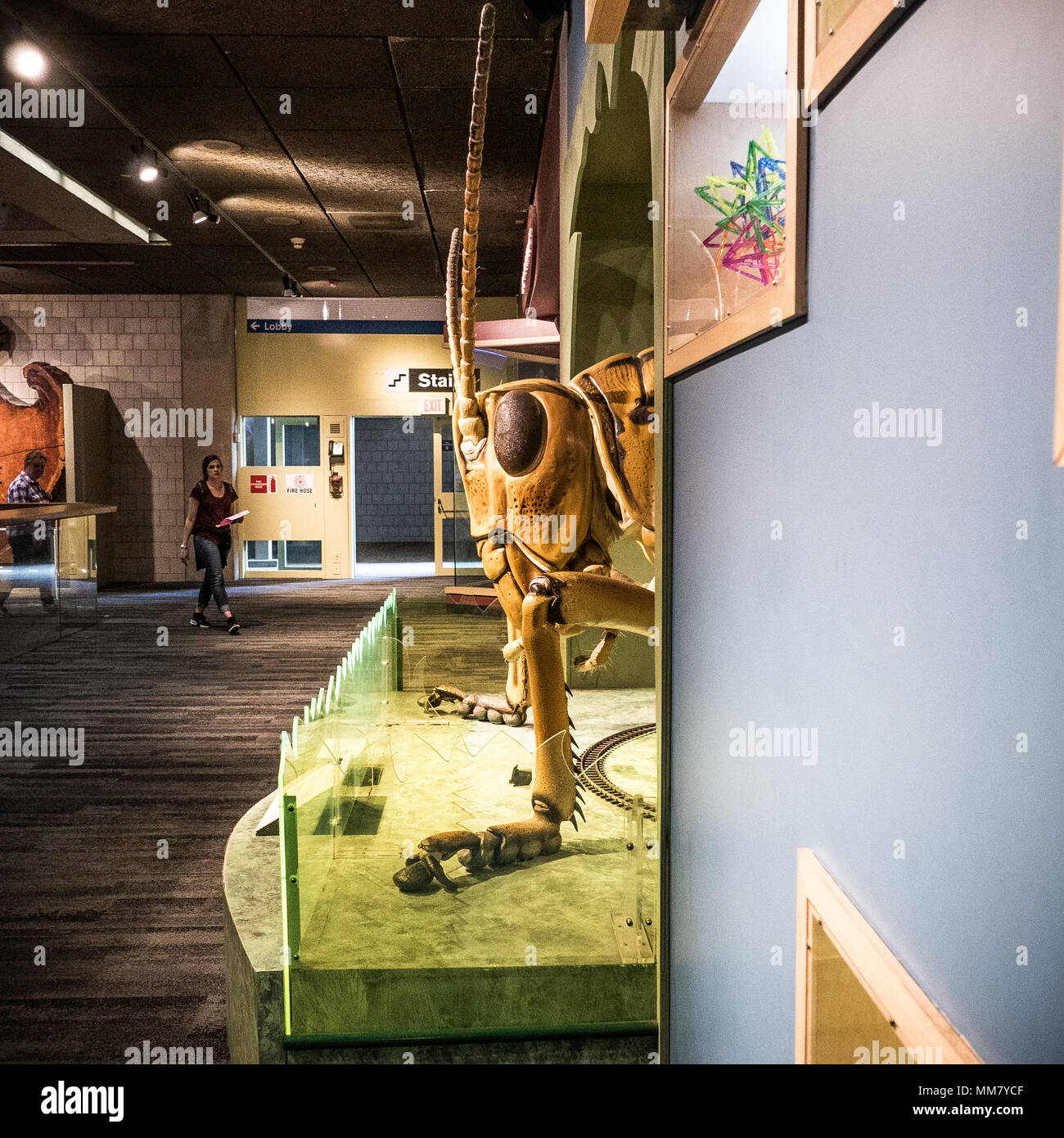 Giant sculpture at the Boston Museum of Science Stock Photo