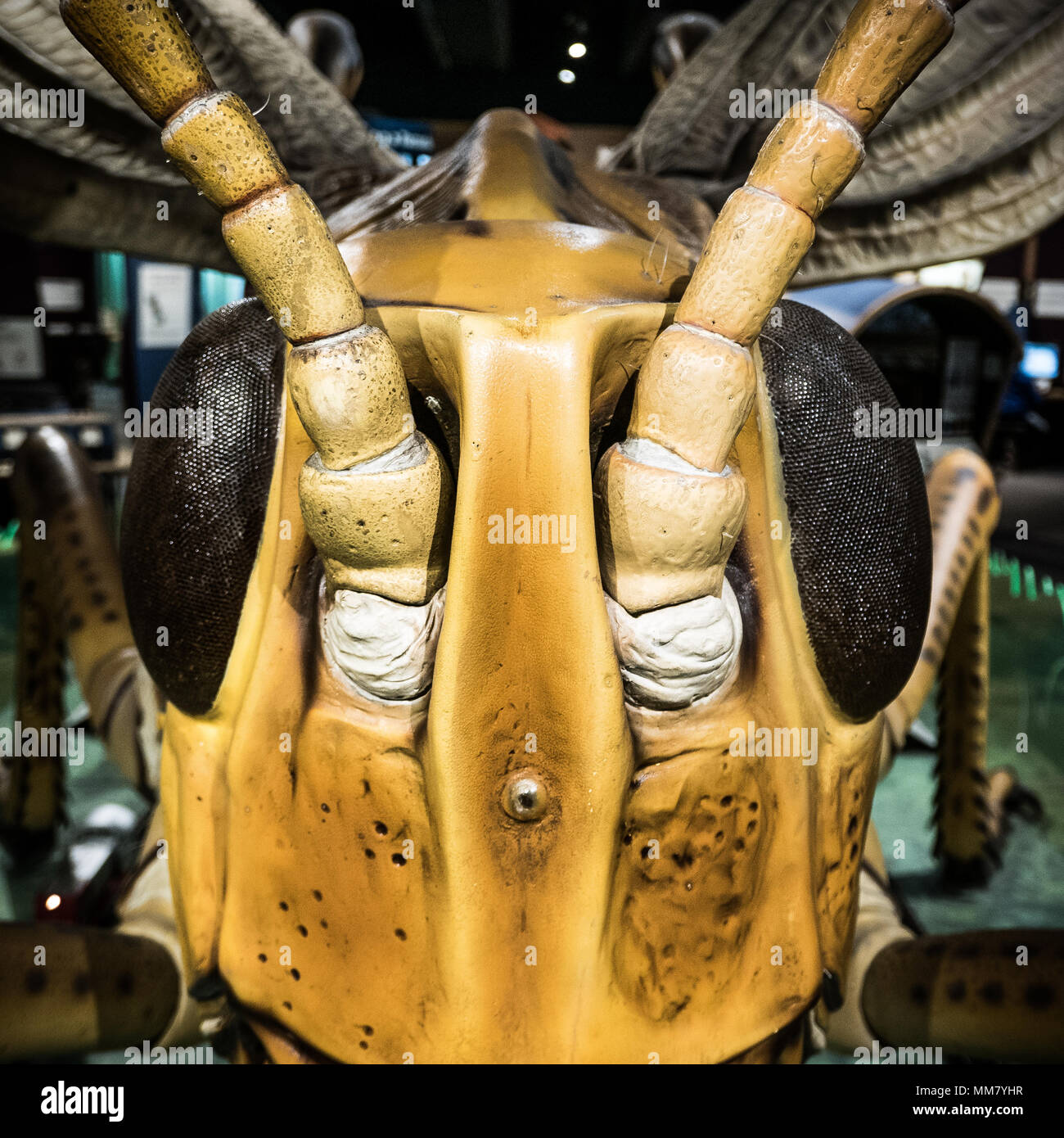 Giant sculpture at the Boston Museum of Science Stock Photo