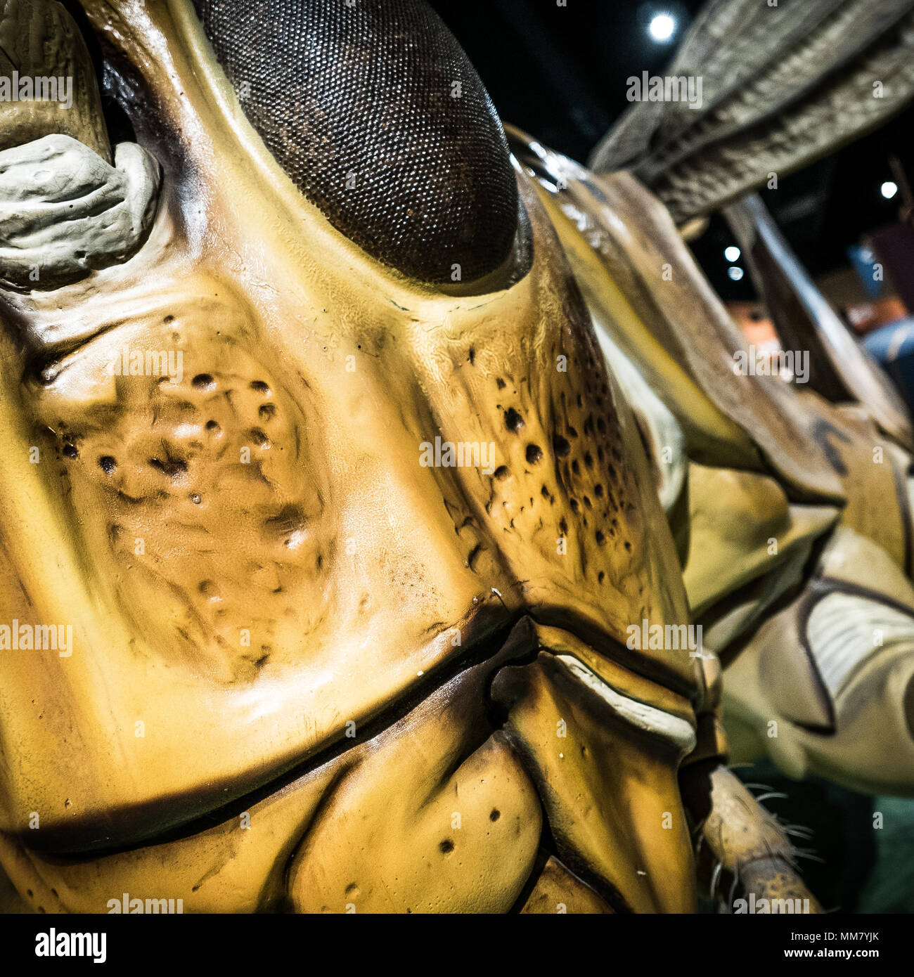 Giant sculpture at the Boston Museum of Science Stock Photo