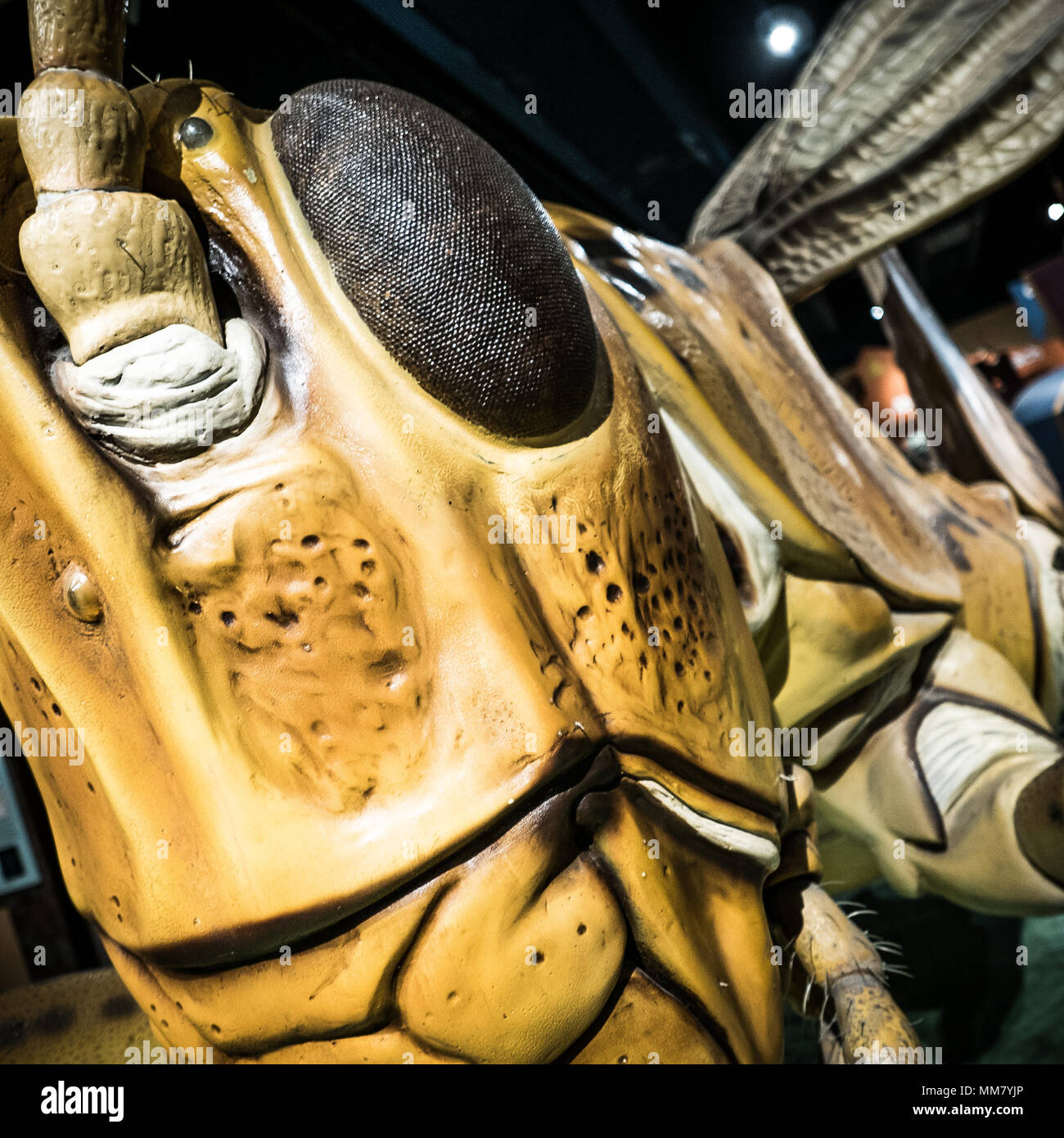 Giant sculpture at the Boston Museum of Science Stock Photo