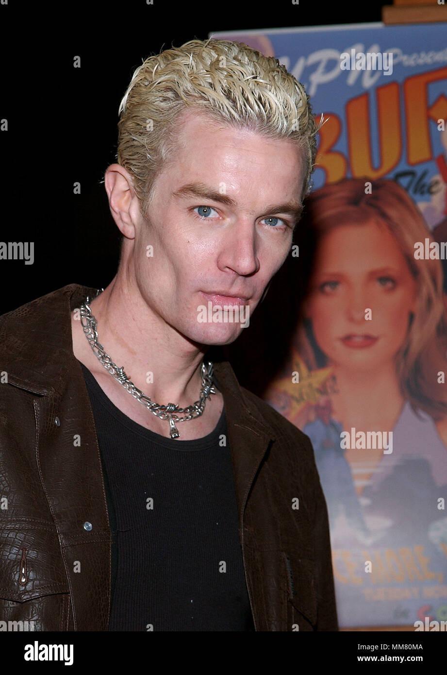 James Marsters posing  at the screening of Buffy The Vampire Slayer, Musical Episode at the Paramount Theatre on the Paramount lot in Los angeles. November 2, 2001.  MarstersJames03.jpgMarstersJames03 Red Carpet Event, Vertical, USA, Film Industry, Celebrities,  Photography, Bestof, Arts Culture and Entertainment, Topix Celebrities fashion /  Vertical, Best of, Event in Hollywood Life - California,  Red Carpet and backstage, USA, Film Industry, Celebrities,  movie celebrities, TV celebrities, Music celebrities, Photography, Bestof, Arts Culture and Entertainment,  Topix, headshot, vertical, on Stock Photo