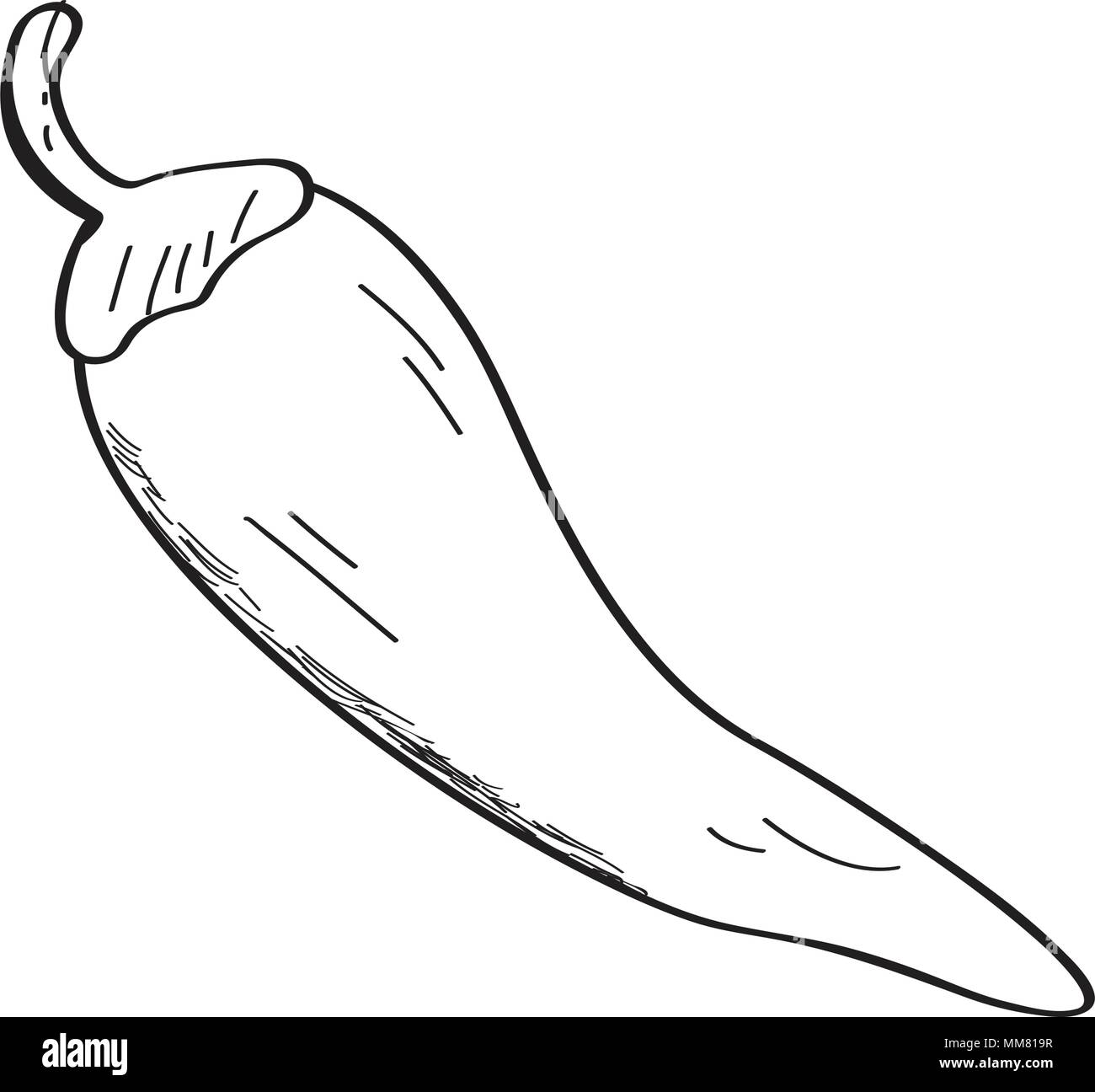 Chili pepper sketch Stock Vector Image & Art Alamy