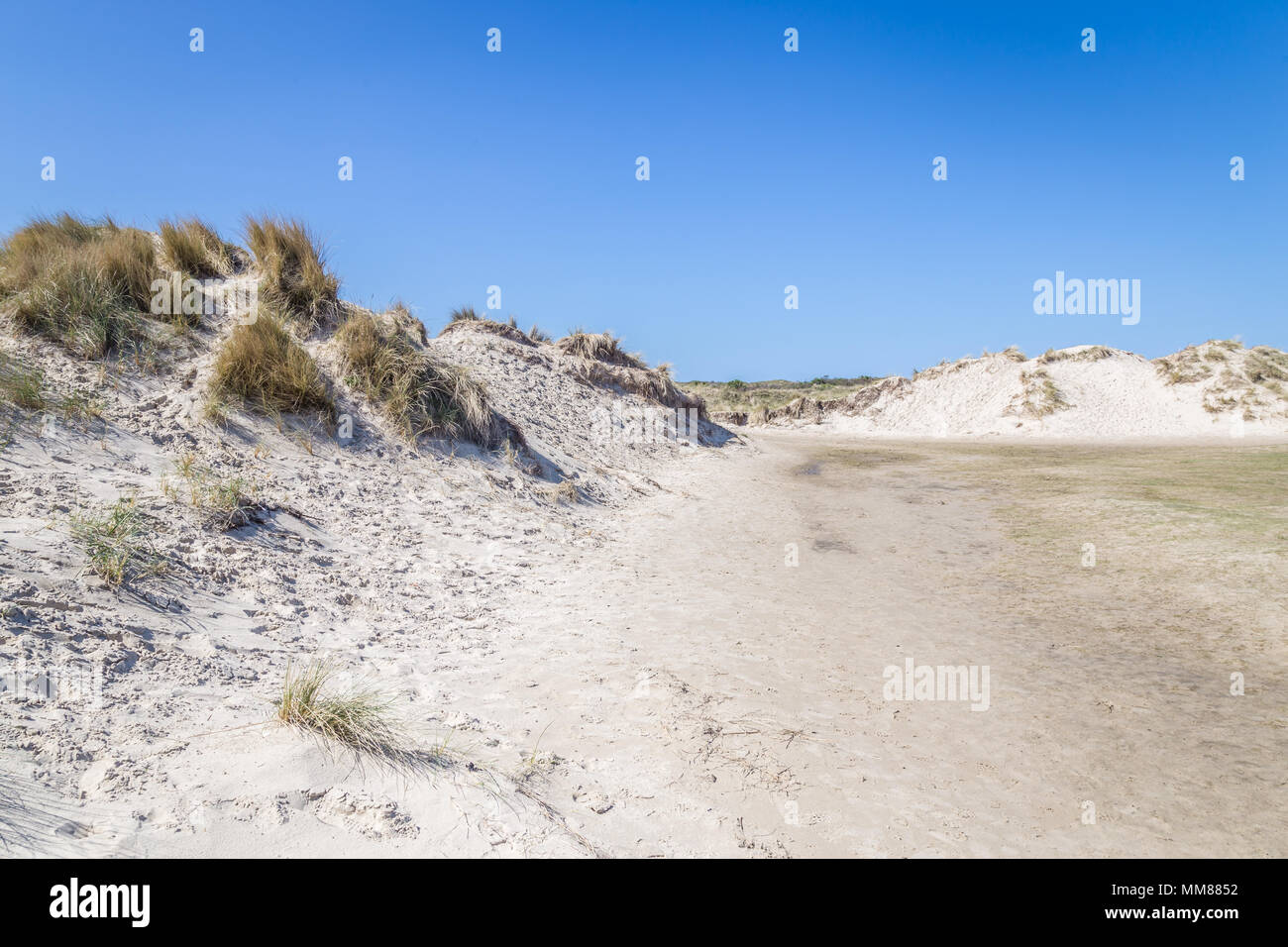 Vlieland nature reserve hi-res stock photography and images - Alamy