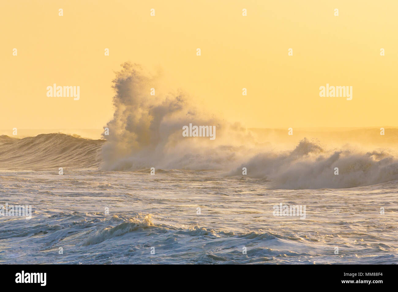 Big stormy waves crashing over Portuguese coast during sunset Stock Photo