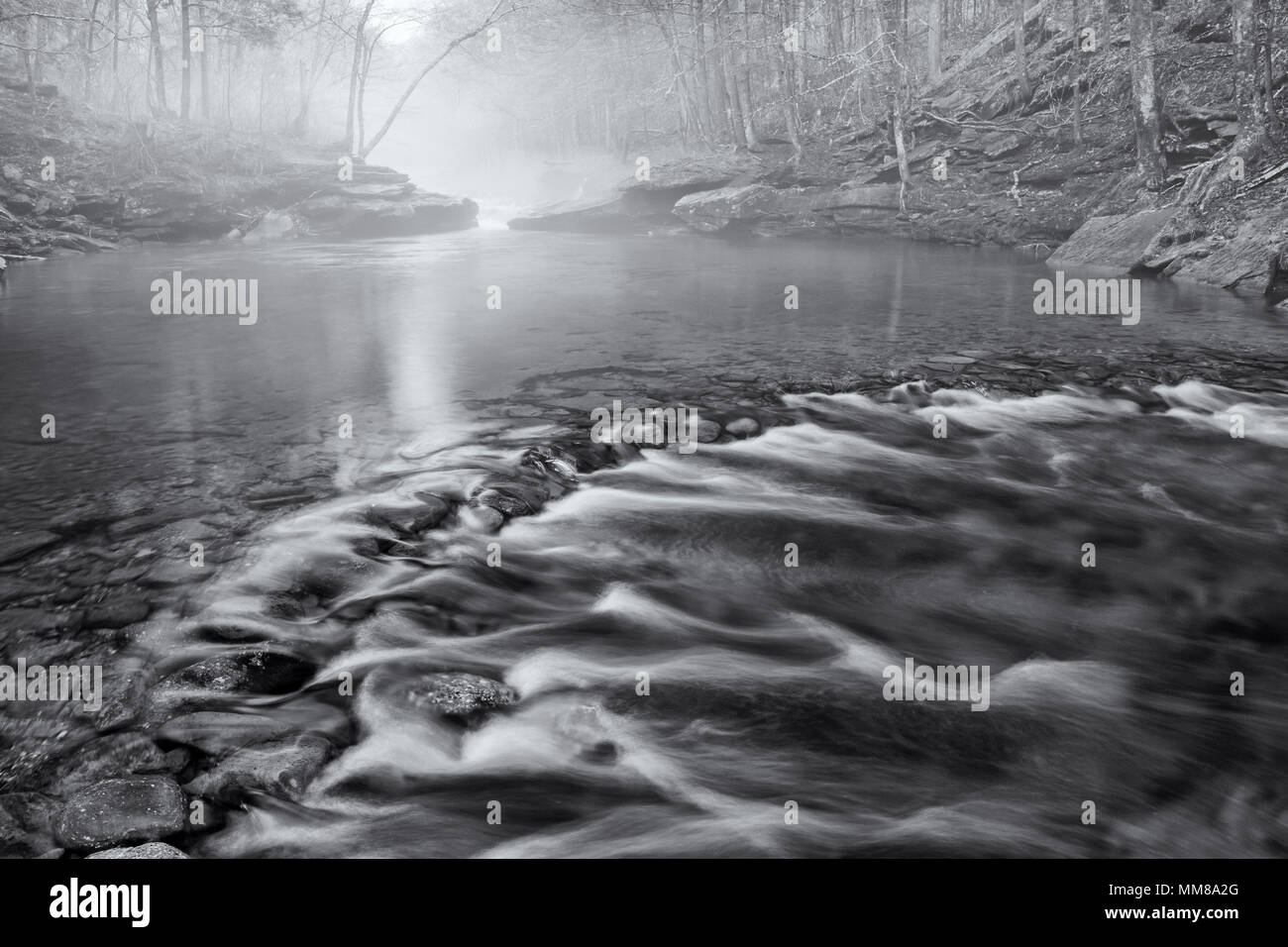 Peekamoose Blue Hole wrapped in Spring fog on the Rondout Creek in