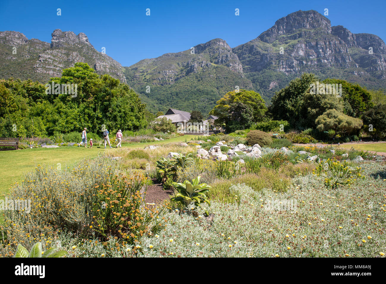 A small group of people walking at the Kirstenbosch Botanical Gardens in Cape Town, South Africa Stock Photo