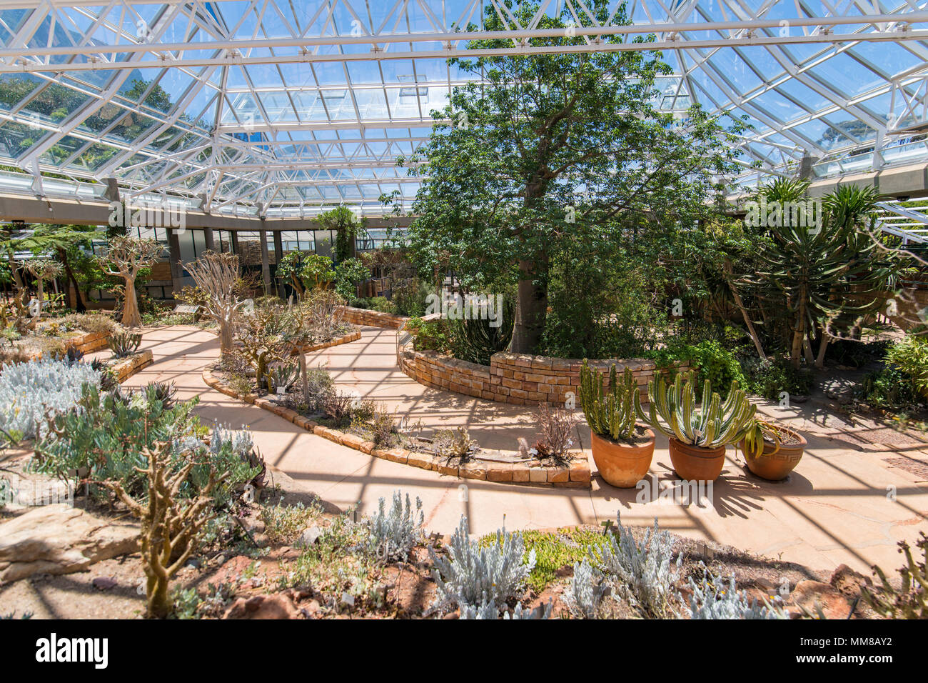 A greenhouse at the Kirstenbosch Botanical Gardens in Cape Town, South  Africa Stock Photo - Alamy