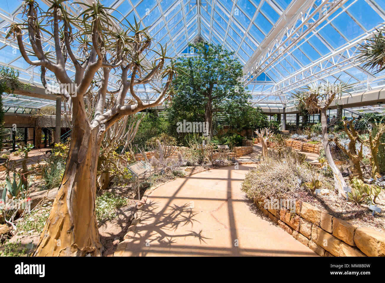 A greenhouse at the Kirstenbosch Botanical Gardens in Cape Town, South