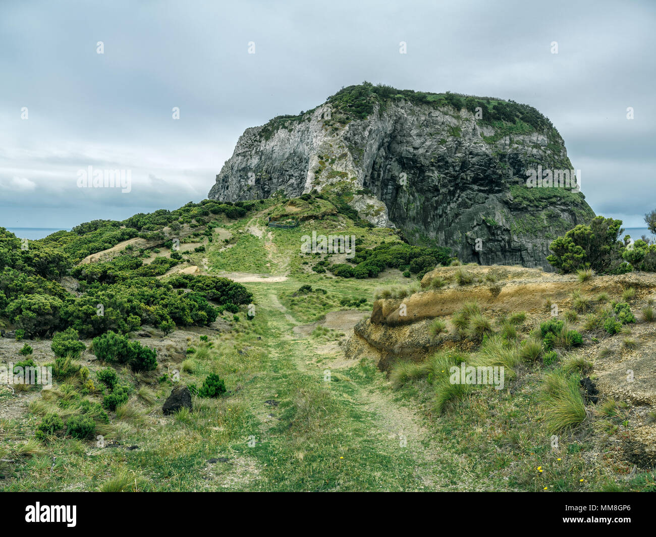 A land view of the path leading to Morro do Castelo Branco, a natural