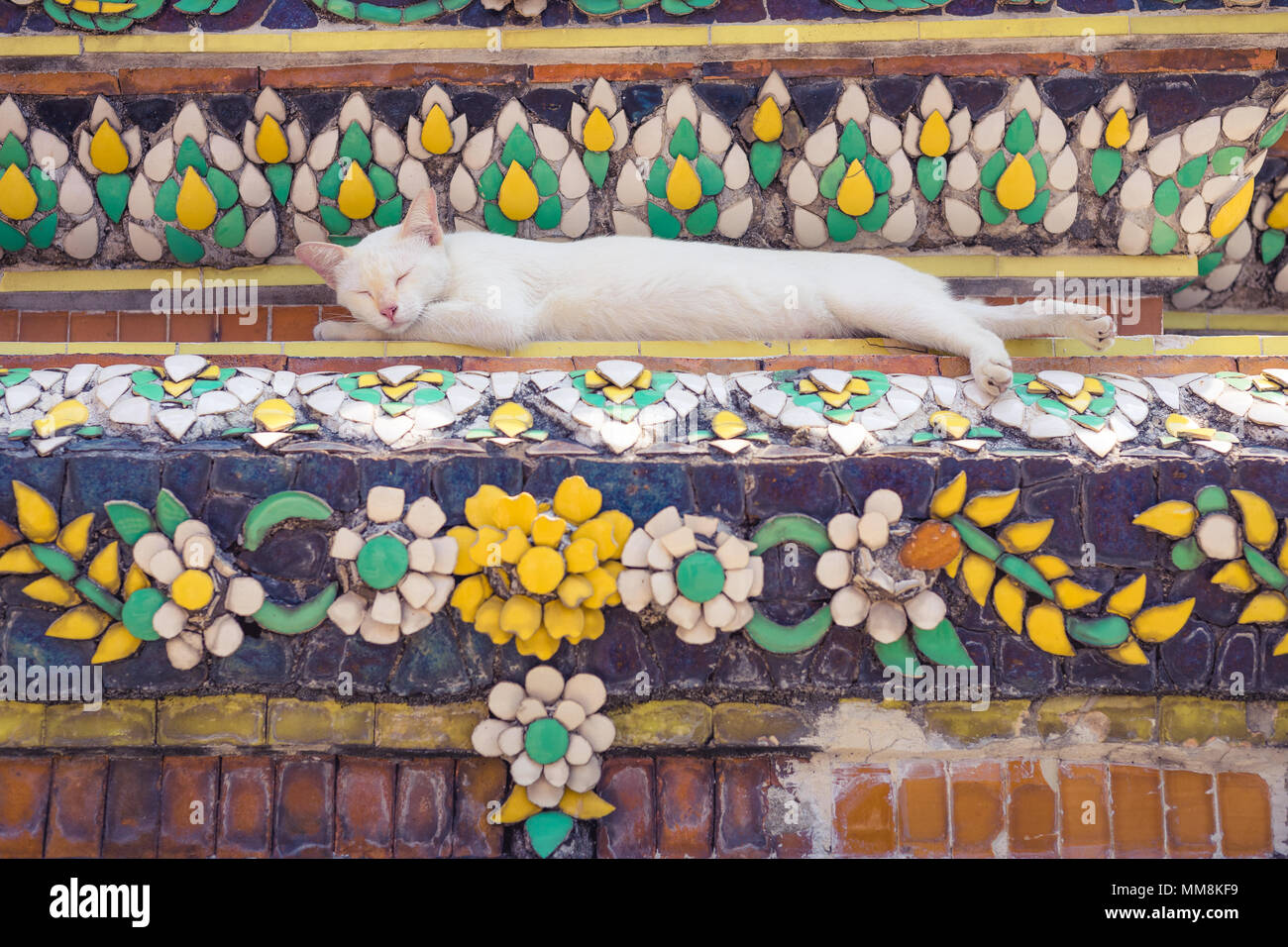 Cat sleeping on Pagoda in Buddhist temple in Thailand Stock Photo