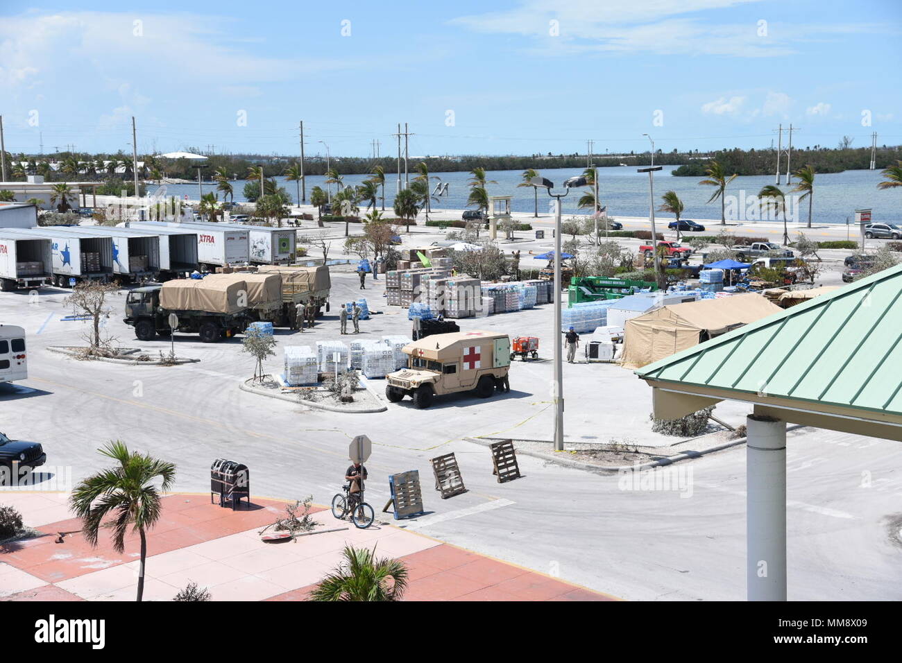Soldiers, marines and sailors set up pallets of supplies at a relief