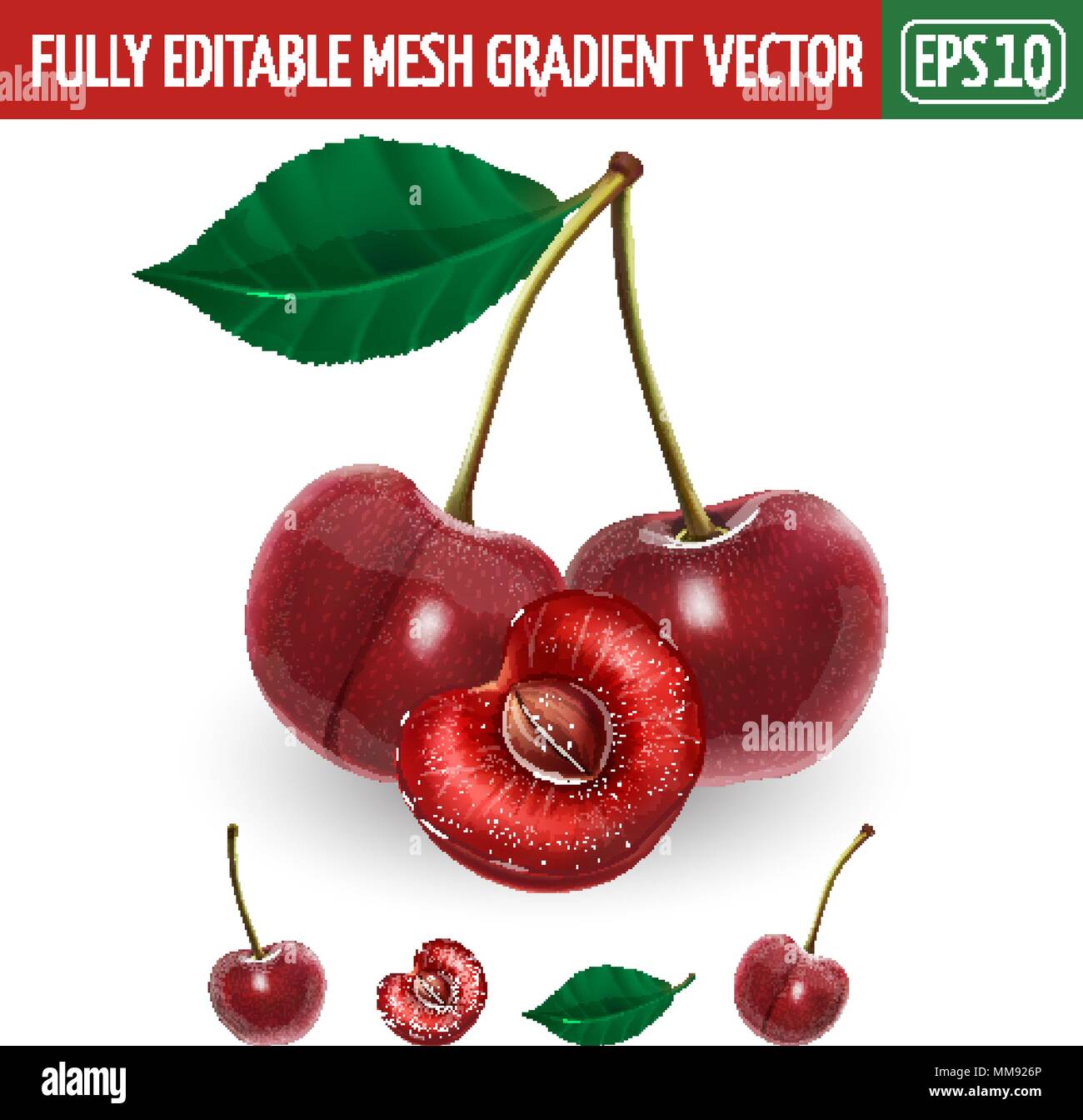 Cherry on white background. Vector illustration Stock Vector