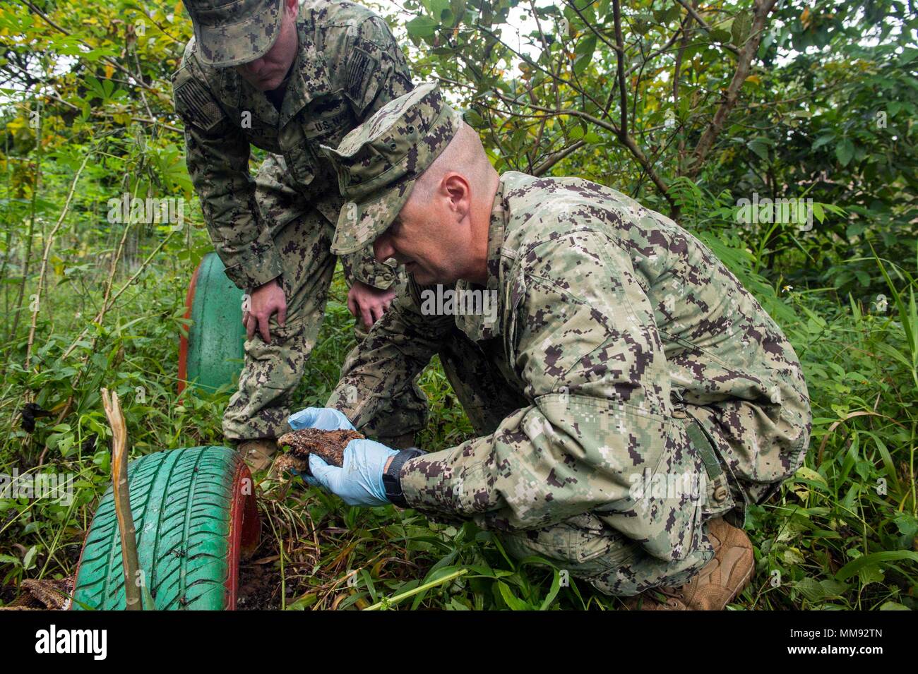 170918-N-YM856-0021 PUERTO BARRIOS, Guatemala (Sept. 18, 2017) Lt. Cmdr. Ian Sutherland, right, technical director for the Navy Entomology Center of Excellence, and Construction Electrician Constructionman Thomas Bautz, assigned to Naval Mobile Construction Battalion 1, examine a killer bee hive after treating it with insecticide at Centro De Atención Mis Años Dorados, a local nursing home, during Southern Partnership Station 17 (SPS 17). SPS 17 is a U.S. Navy deployment executed by U.S. Naval Forces Southern Command/U.S. 4th Fleet, focused on subject matter expert exchanges with partner natio Stock Photo
