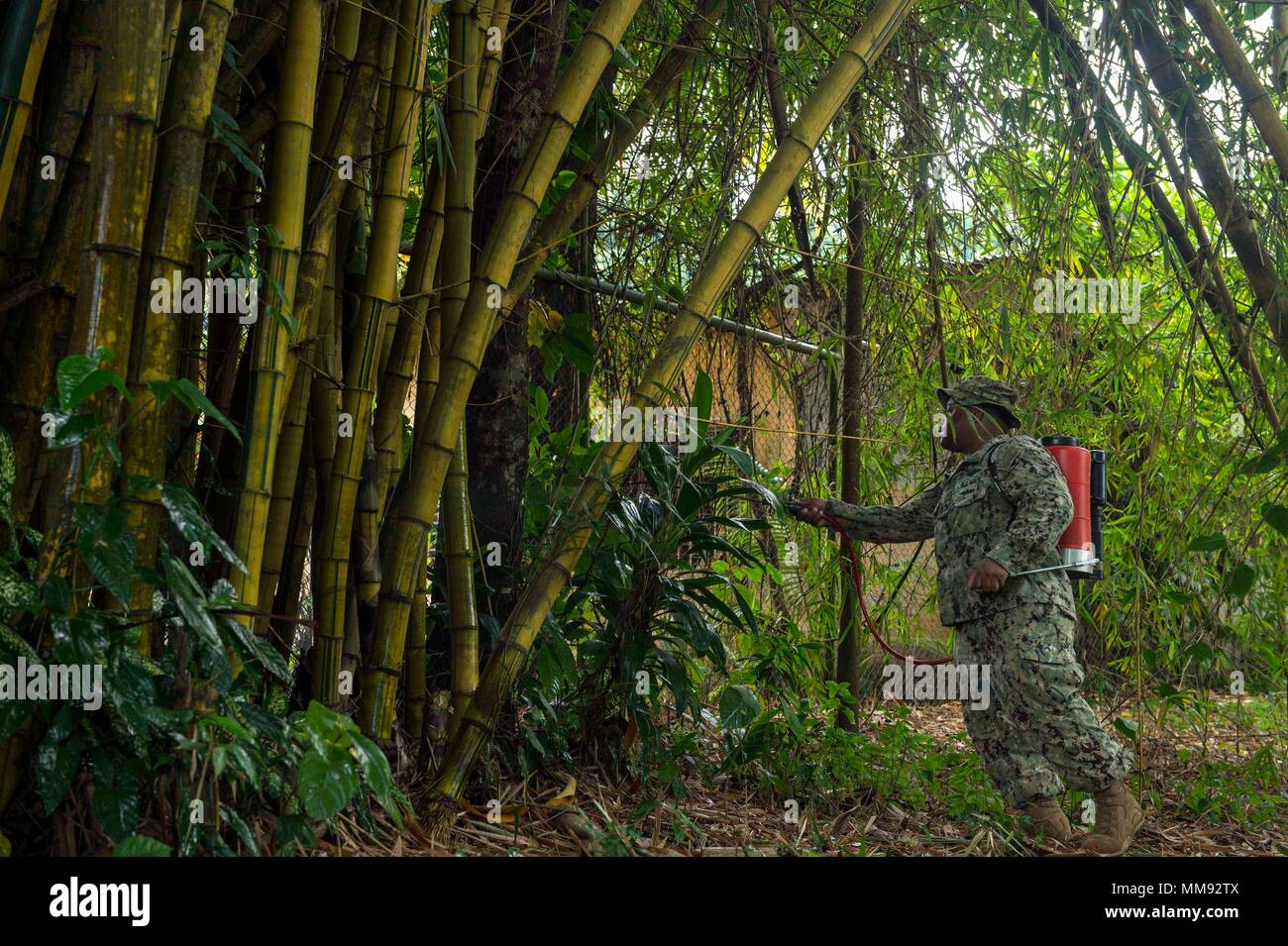 170918-N-YM856-0041 PUERTO BARRIOS, Guatemala (Sept. 18, 2017) Hospital Corpsman 1st Class Dominic Ladmirault, assigned to the Navy Entomology Center for Excellence, sprays insecticide at Centro De Atención Mis Años Dorados, a local nursing home, during Southern Partnership Station 17 (SPS 17). SPS 17 is a U.S. Navy deployment executed by U.S. Naval Forces Southern Command/U.S. 4th Fleet, focused on subject matter expert exchanges with partner nation militaries and security forces in Central and South America. (U.S. Navy Combat Camera photo by Mass Communication Specialist 2nd Class Brittney C Stock Photo