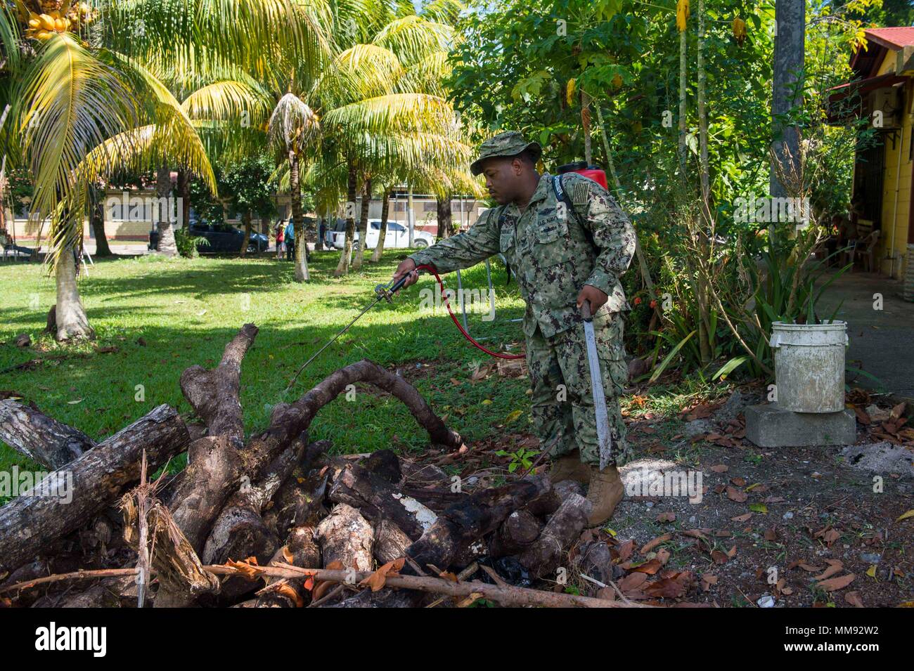 170918-N-YM856-0092 PUERTO BARRIOS, Guatemala (Sept. 18, 2017) Hospital Corpsman 1st Class Dominic Ladmirault, assigned to the Navy Entomology Center for Excellence, sprays insecticide at Centro De Atención Mis Años Dorados, a local nursing home, during Southern Partnership Station 17 (SPS 17).  SPS 17 is a U.S. Navy deployment executed by U.S. Naval Forces Southern Command/U.S. 4th Fleet, focused on subject matter expert exchanges with partner nation militaries and security forces in Central and South America. (U.S. Navy Combat Camera photo by Mass Communication Specialist 2nd Class Brittney  Stock Photo