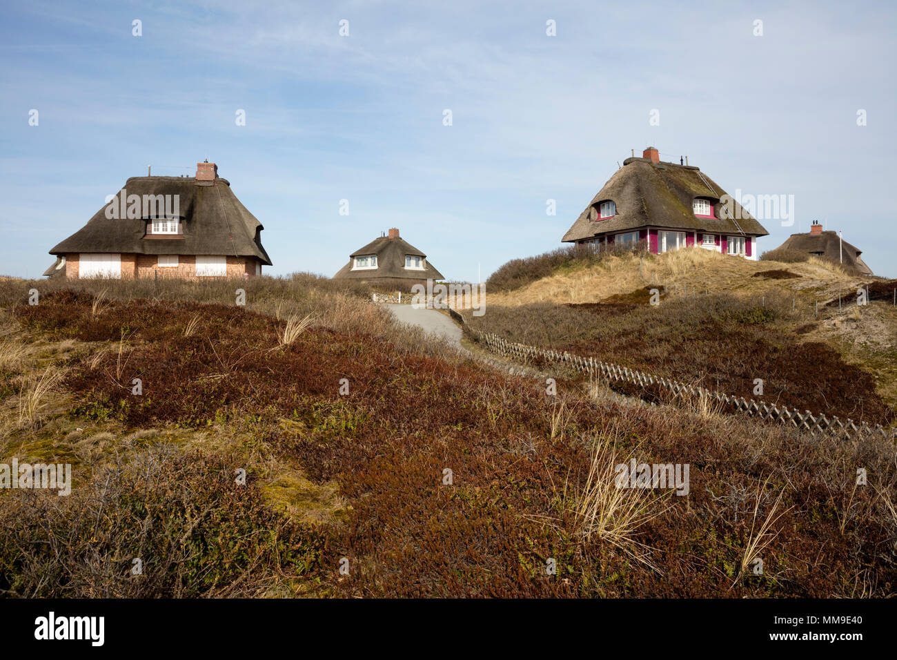 Thatched houses, dune landscape, Hörnum, Sylt, North Frisian Island, North Frisia, Schleswig-Holstein, Germany Stock Photo