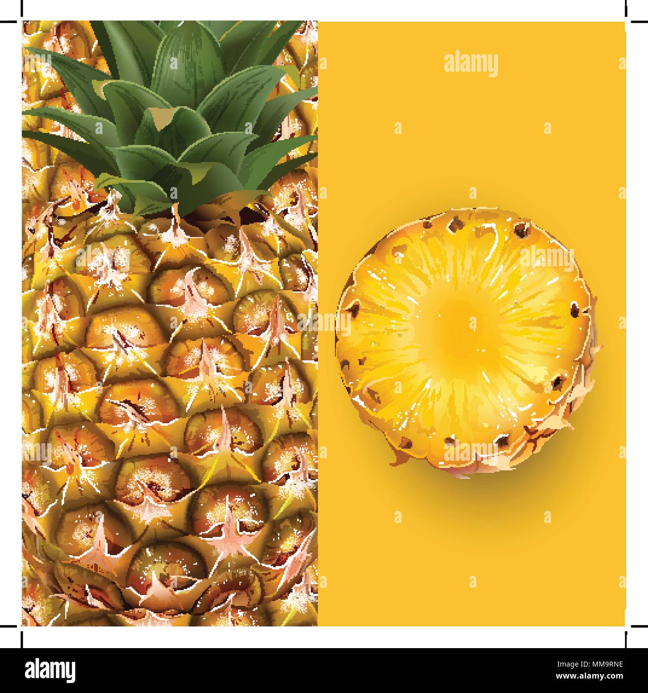 Pineapple. Vector illustration Stock Vector Image & Art - Alamy