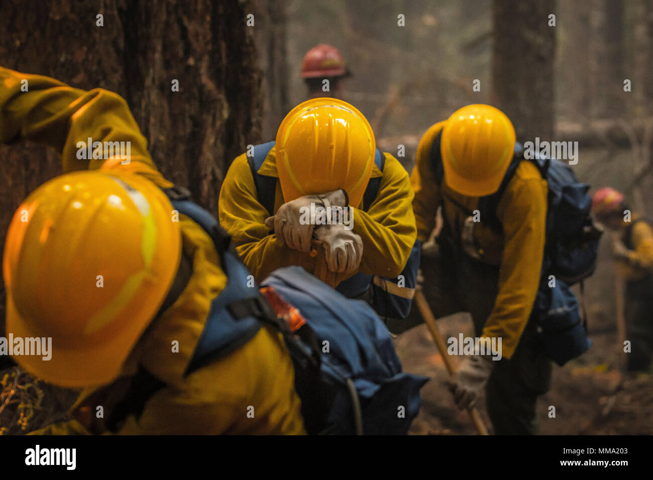 U.S. Army Soldiers, assigned to 23rd Brigade Engineer Battalion, 1-2 Stryker Brigade Combat Team, have been working from sun up to sun down to combat wild fires in the Umpqua National Forest, Oregon, Sept. 11. The Soldiers have been clearing flammable brush and debris in order to halt the advance of the flames. (U.S. Army photos by Pvt. Adeline Witherspoon, 20th Public Affairs Detachment) Stock Photo