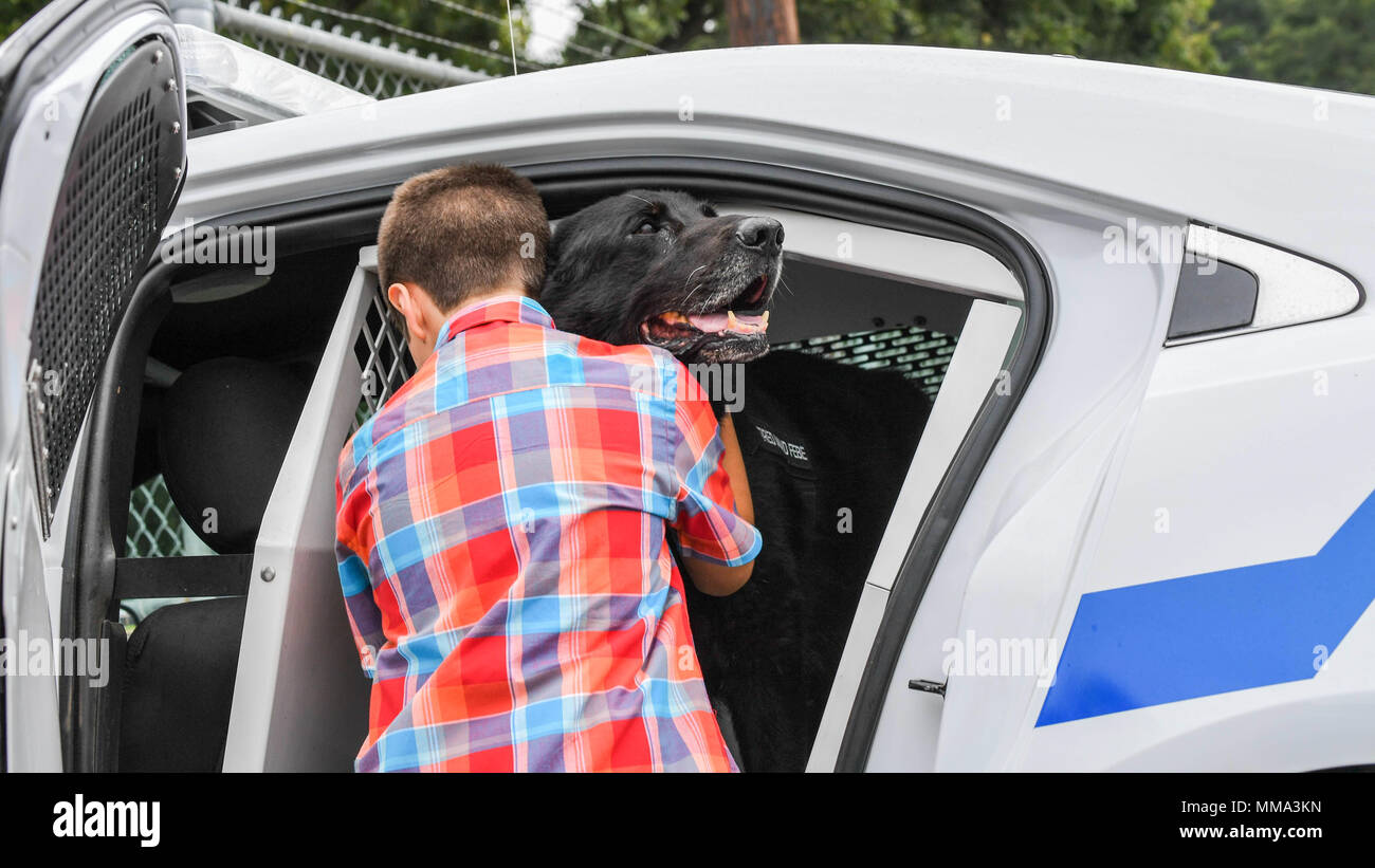 Dog kennels sad hires stock photography and images Alamy