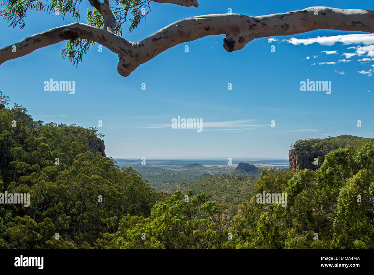 View of vast plains, gorge & forested hills under blue sky from lookout at Fred's gorge in Minerva Hills National Park, near Springsure Qld. Australia Stock Photo