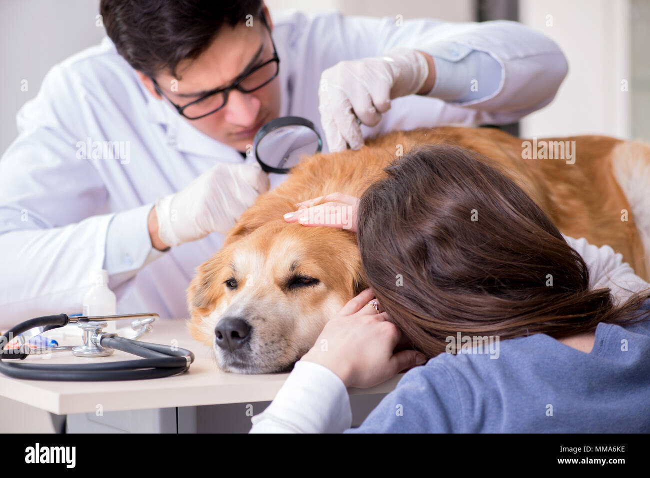 dog skin doctor