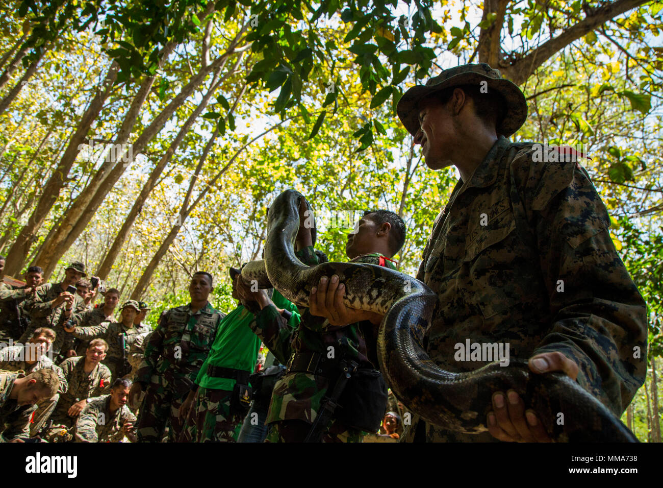 U.S. Marines with 1st Battalion, 3rd Marine Regiment and a members of the Indonesian Korps Marinir hold a python as part of a jungle survival class during Cooperation Afloat Readiness & Training (CARAT) in Banyuwangi, East Java, Indonesia, Sept. 11, 2017. CARAT builds, maintains and enhances bilateral defense and interoperability of military forces between the United States and Indonesia. (U.S. Marine Corps photo by  Lance Cpl. Osvaldo L. Ortega III) Stock Photo