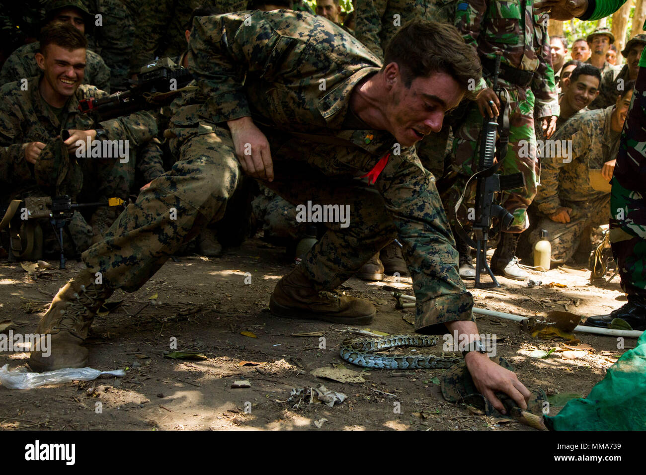 Python Battalion Python iii hi-res stock photography and images - Alamy