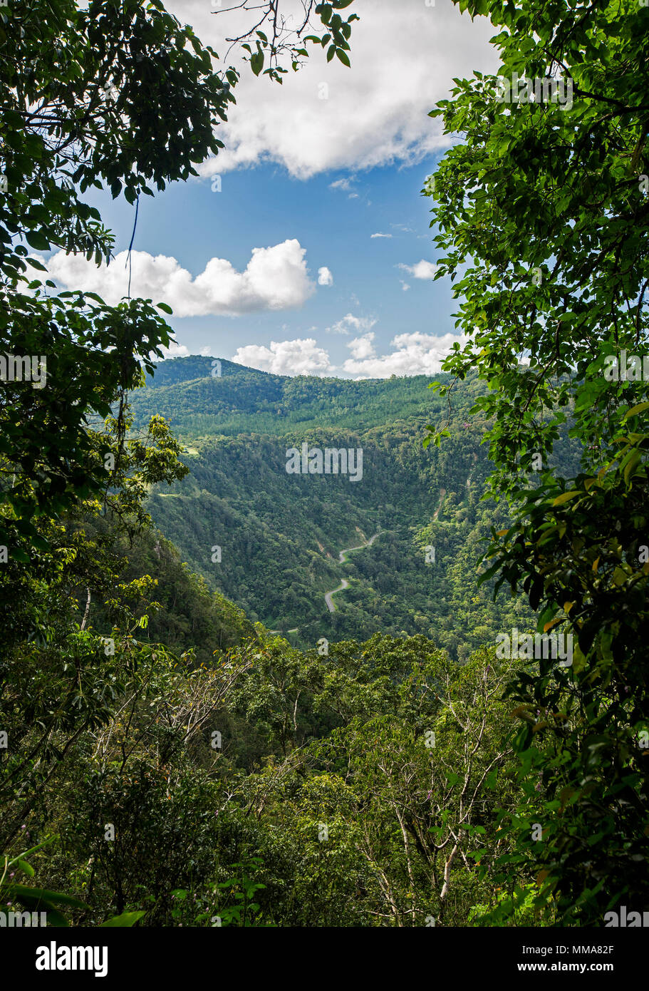 Landscape of steep hills cloaked in forests with road snaking through ranges and Eungalla National Park in northern Queensland, Australia Stock Photo