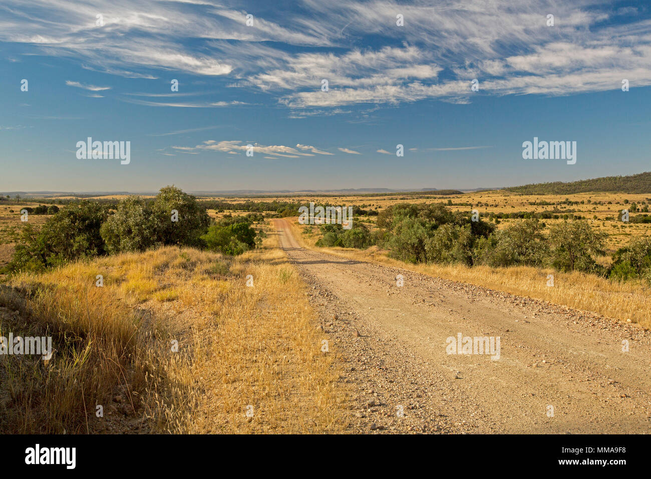 Long straight gravel road slicing through Australian outback landscape with scattered shrubs and stretching to distant horizon under blue sky Stock Photo