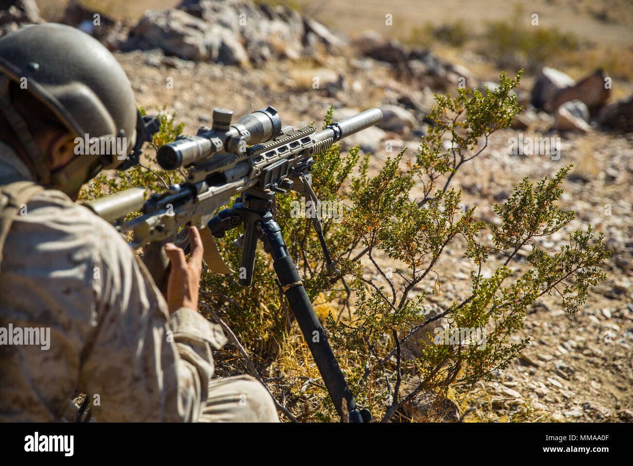 Sniper Rifle Environment Regimental Surveillance and Target Acquisition Company, 1st Marine ...