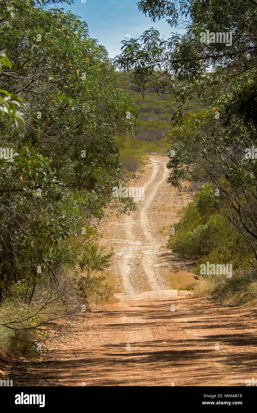 Landscape with woodlands of eucalyptus trees severed by narrow dirt road in Minerva Hills National Park, near Springsure, Queensland Australia Stock Photo