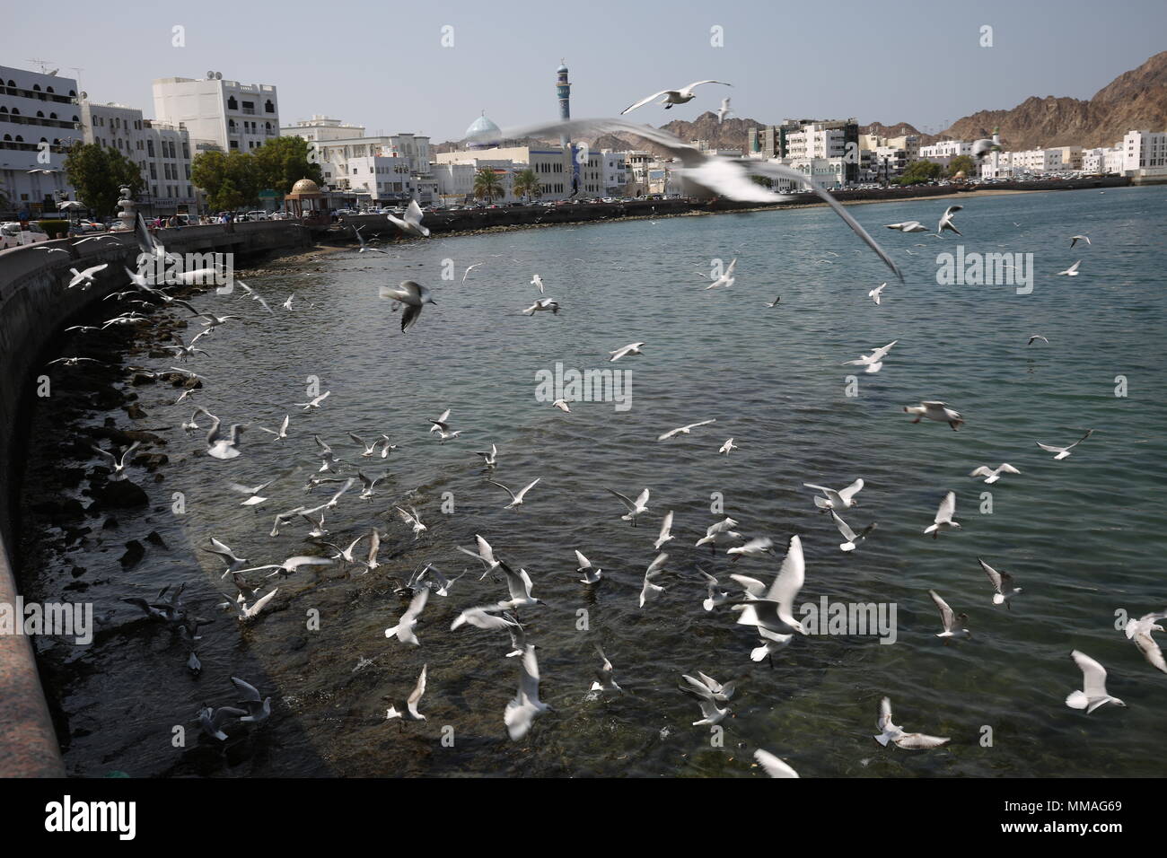 Port Sultan Qaboos - Al Lawati Mosque - Muscat - Sultanate of Oman Stock Photo
