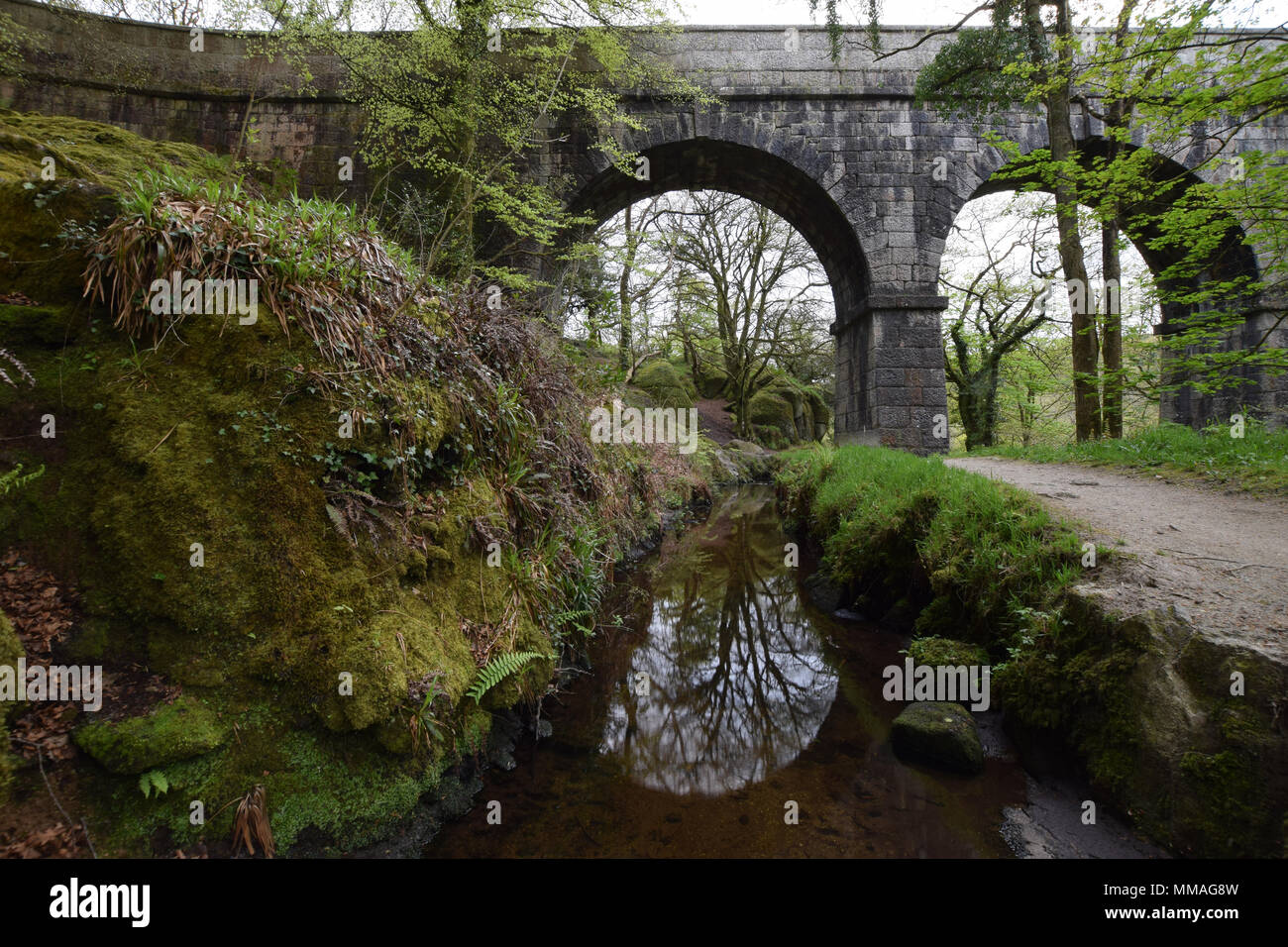 Treffry Viaduct World Heritage Site Luxulyan Valley Stock Photo - Alamy