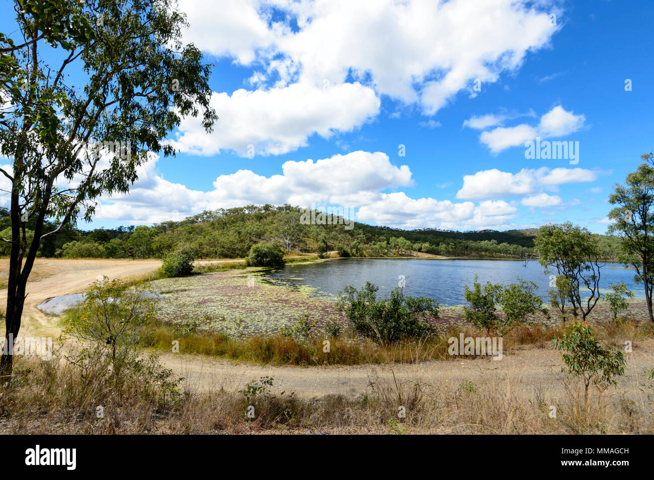 Picturesque wetlands with water lilies at Palmer River Goldfield, Far North Queensland, FNQ, QLD, Australia Stock Photo