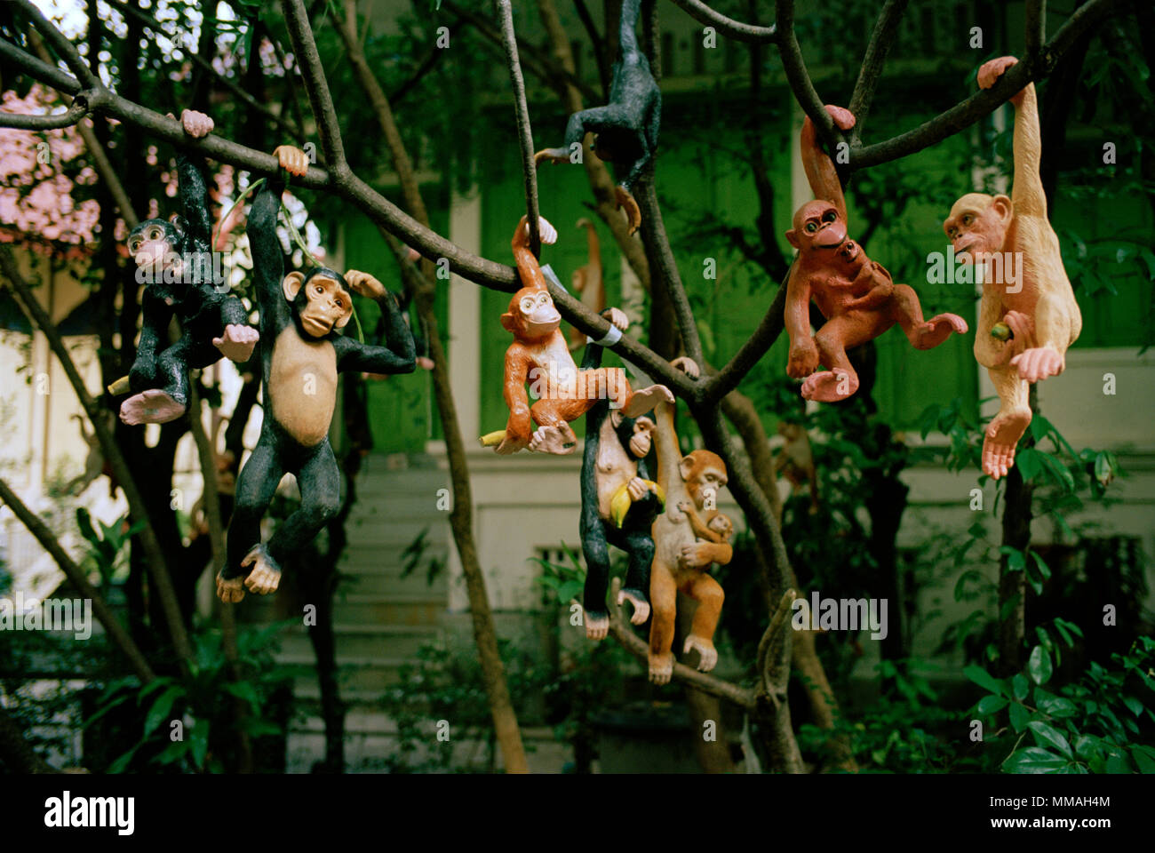 Eccentric monkeys at a Buddhist temple in Dusit in Bangkok in Thailand in Southeast Asia Far East. Buddhism Travel Stock Photo