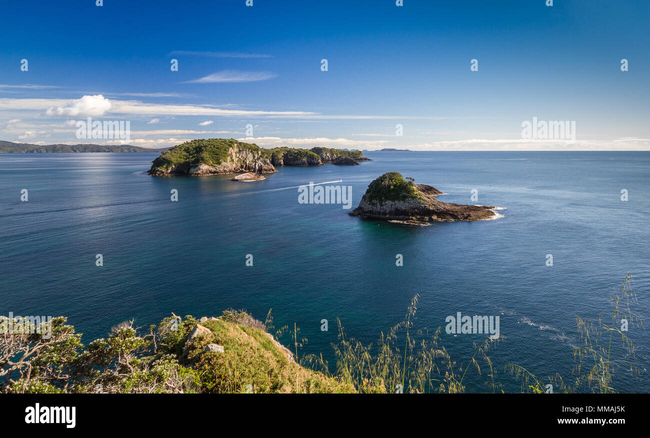 Islands on the coastline at Hahei in the Coromandel, New Zealand. Stock Photo