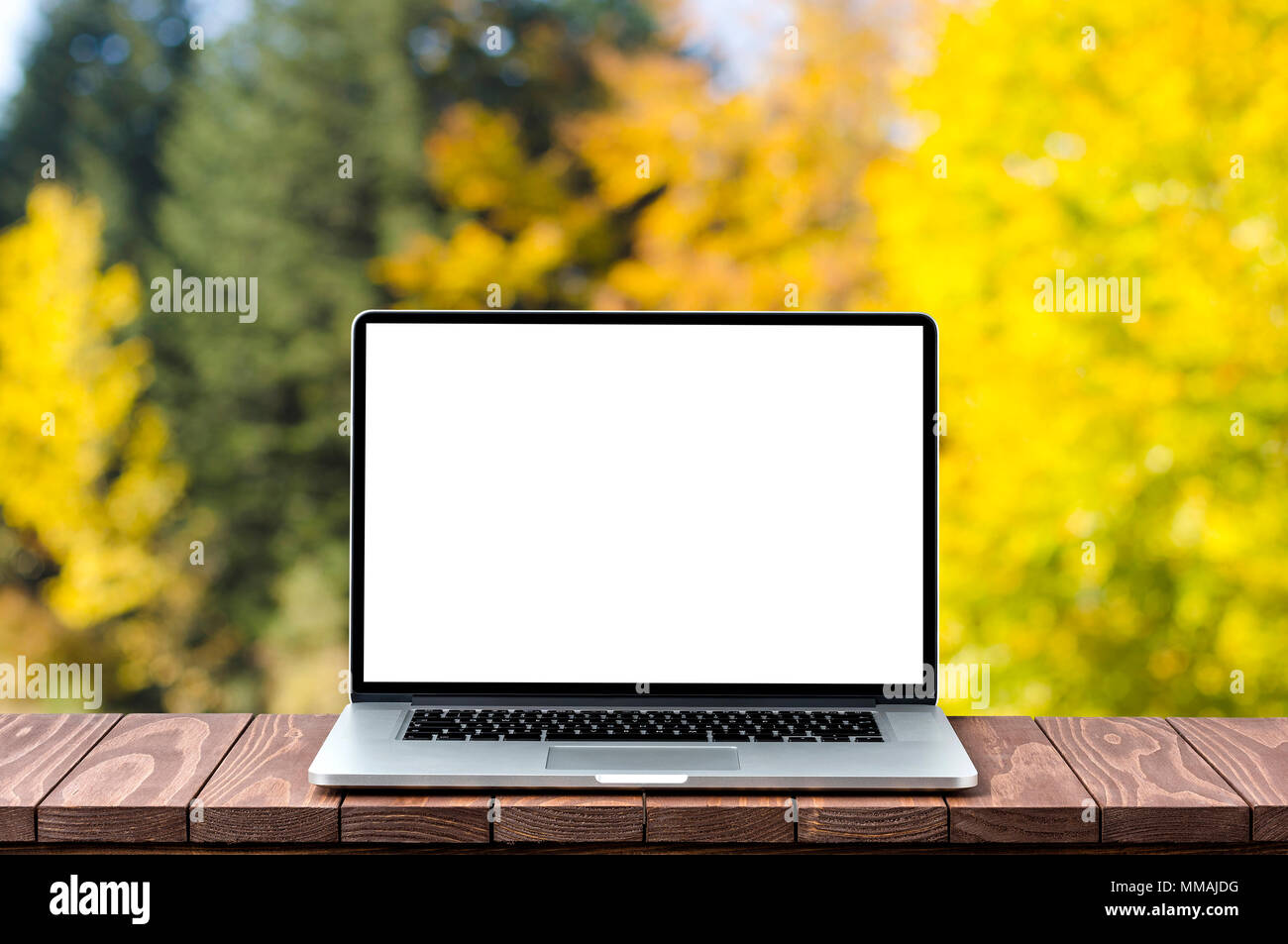 Modern laptop with empty screen. Front view Stock Photo Alamy