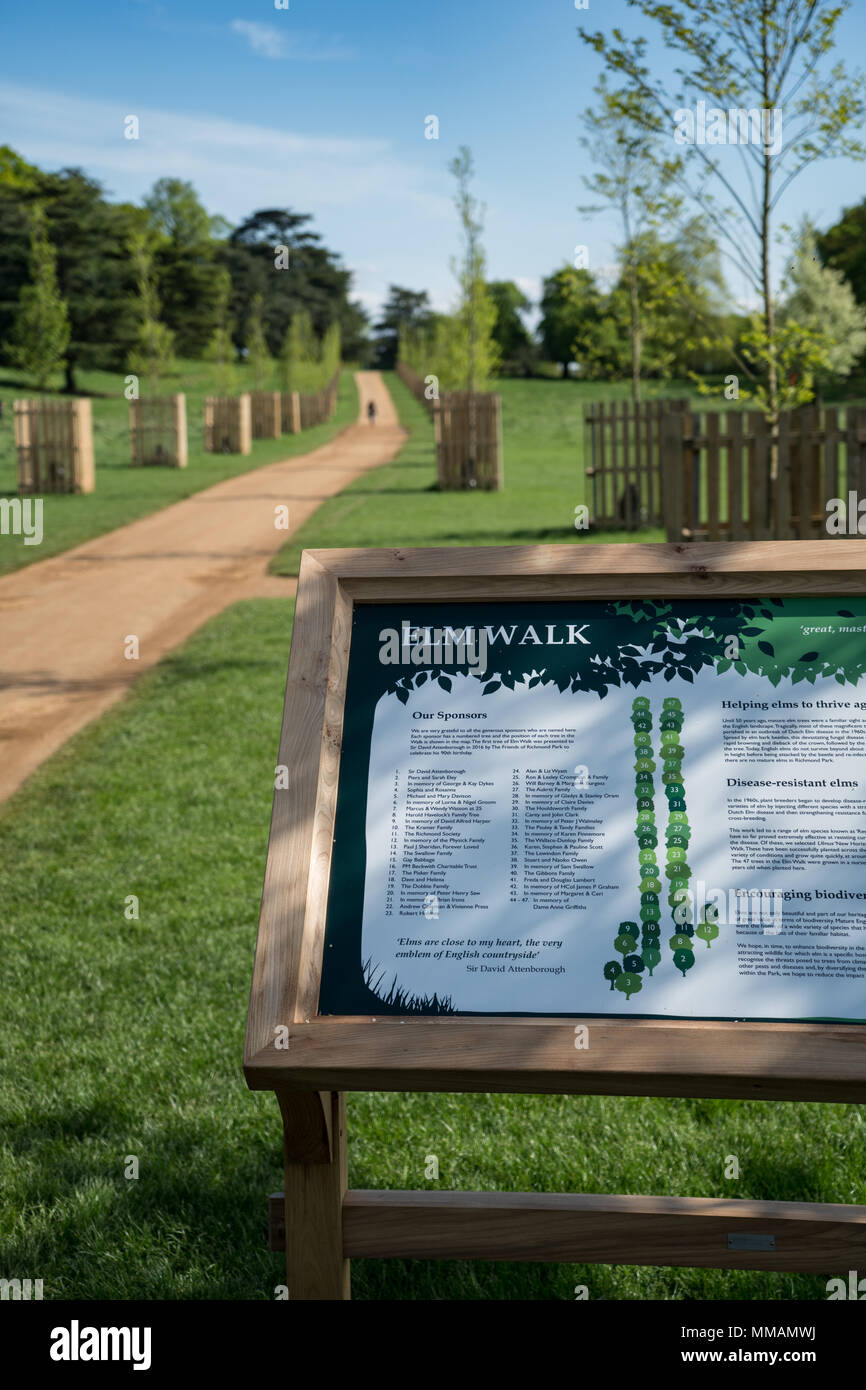 Views of Elm Walk near Petersham Gate in Richmond Park, London. The