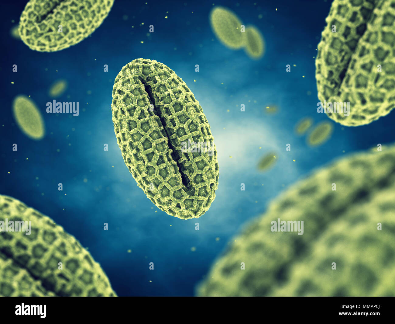 Pollen allergy, also known as hay fever or allergic rhinitis, Seasonal allergy Stock Photo