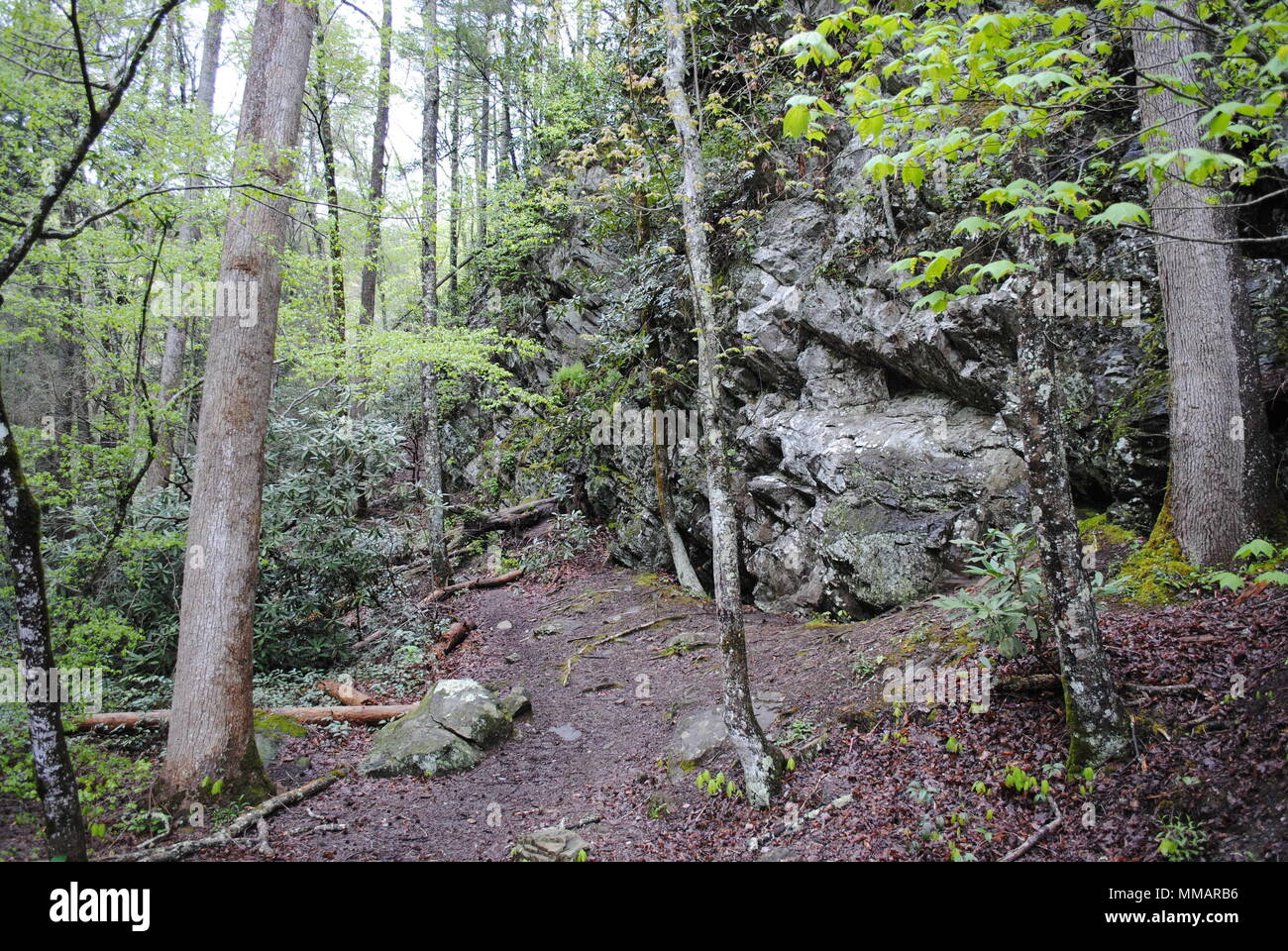 Mountain rock Stock Photo