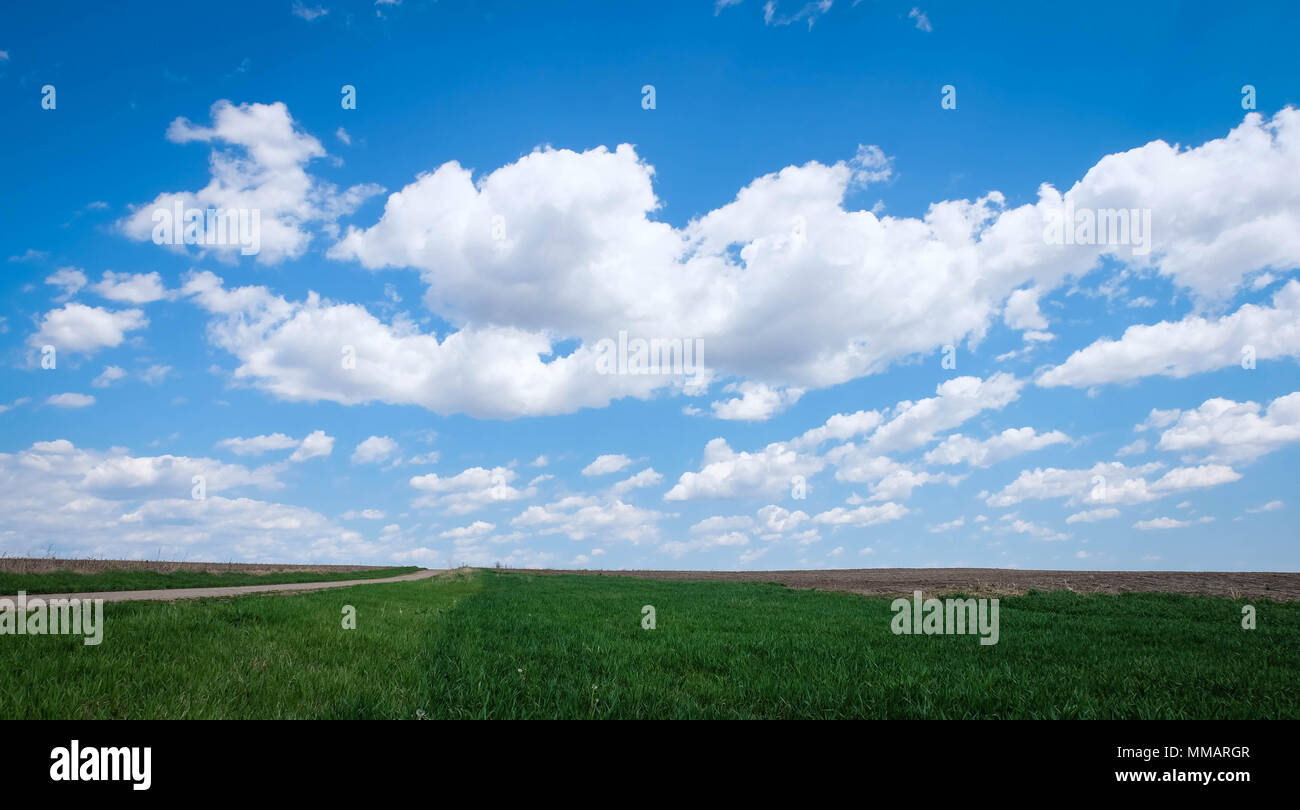 Horizon over land in country. Stock Photo